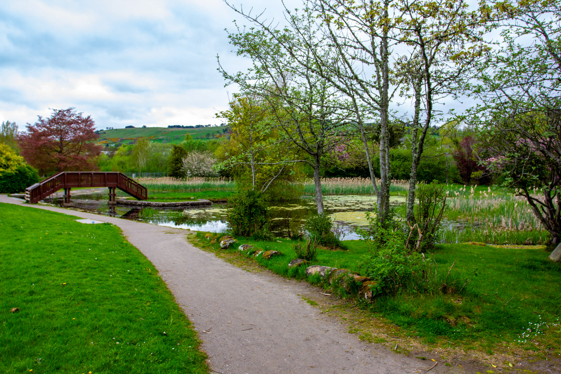 Dingwall - Peffery Canal &amp; Harbour 06 May 2024