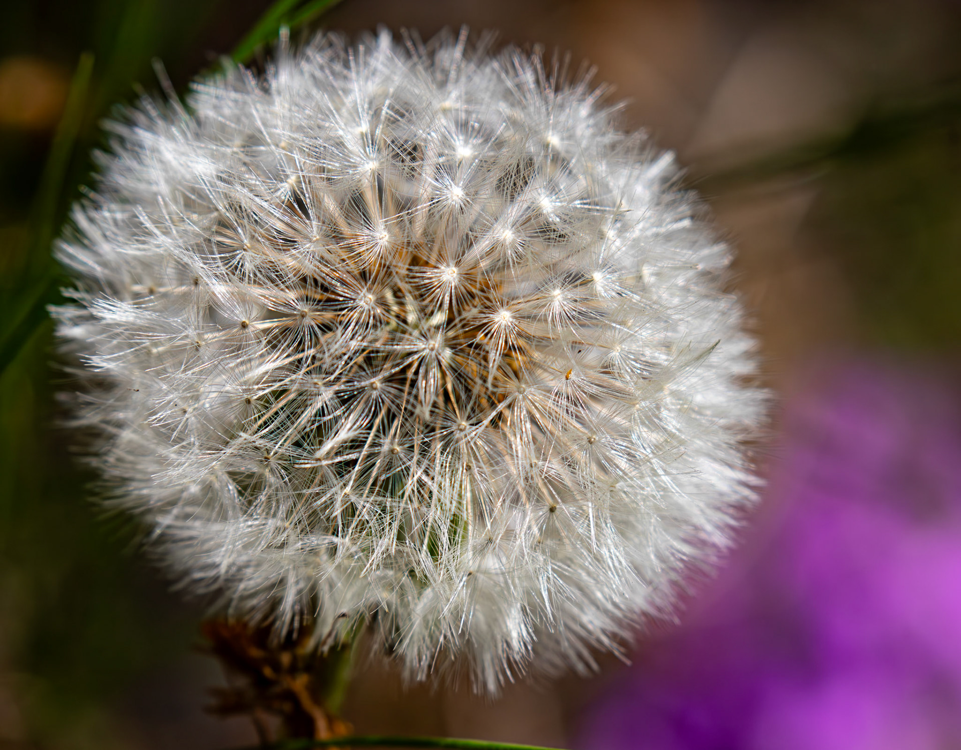 Petershill Wildlife Reserve 15 May 2025