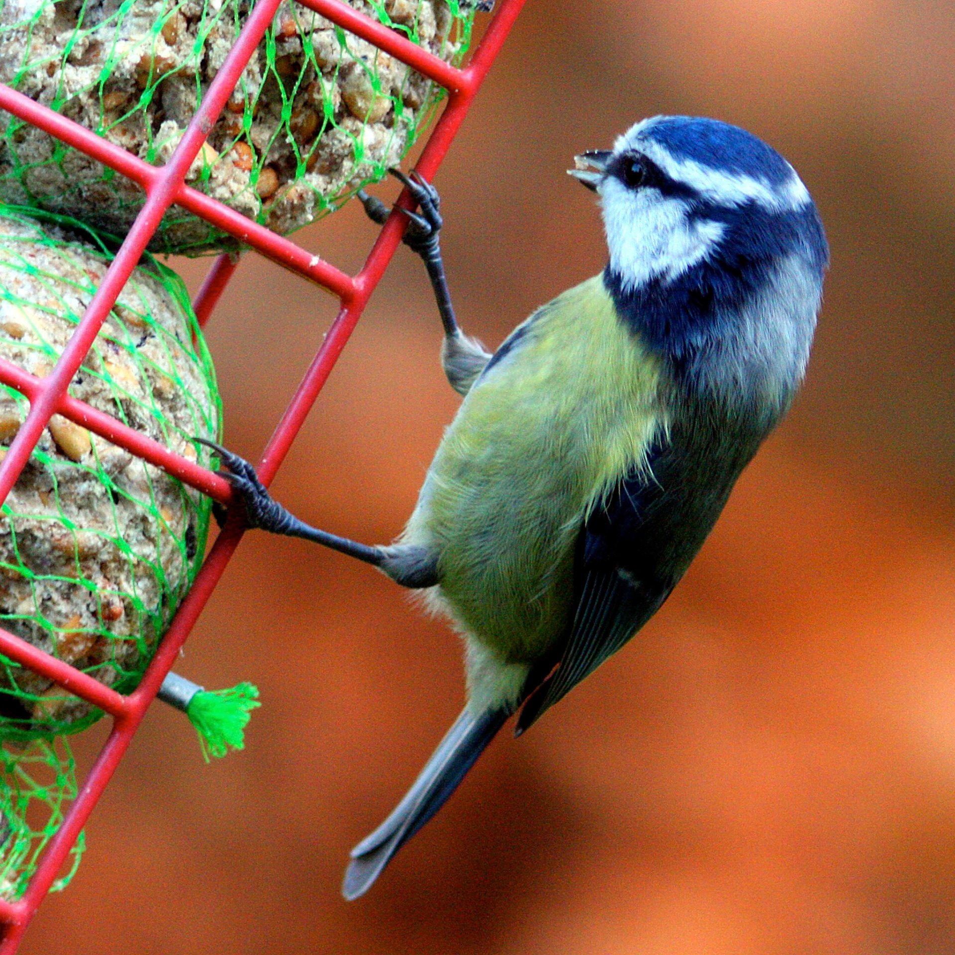 Deans, LivingstonPlease see my other Photographs at: http://www.jamespdeans.co.uk/