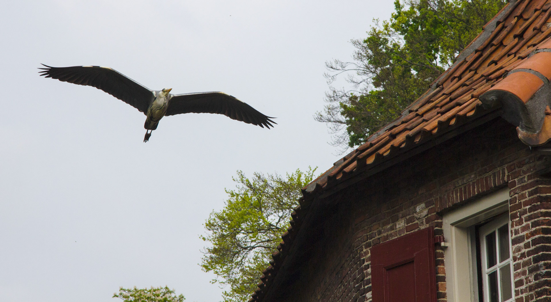 AmersfoortPlease see my other Photographs at: http://www.jamespdeans.co.uk/