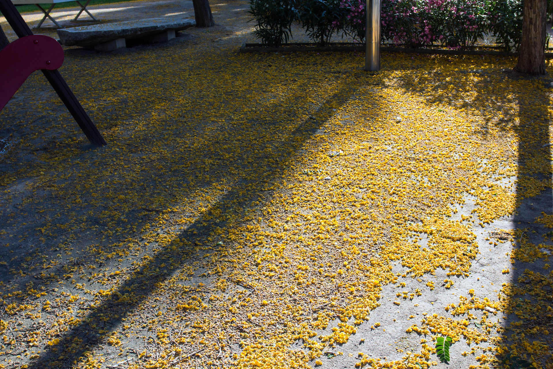 AlcudiaPlease see my other Photographs at: www.jamespdeans.co.uk