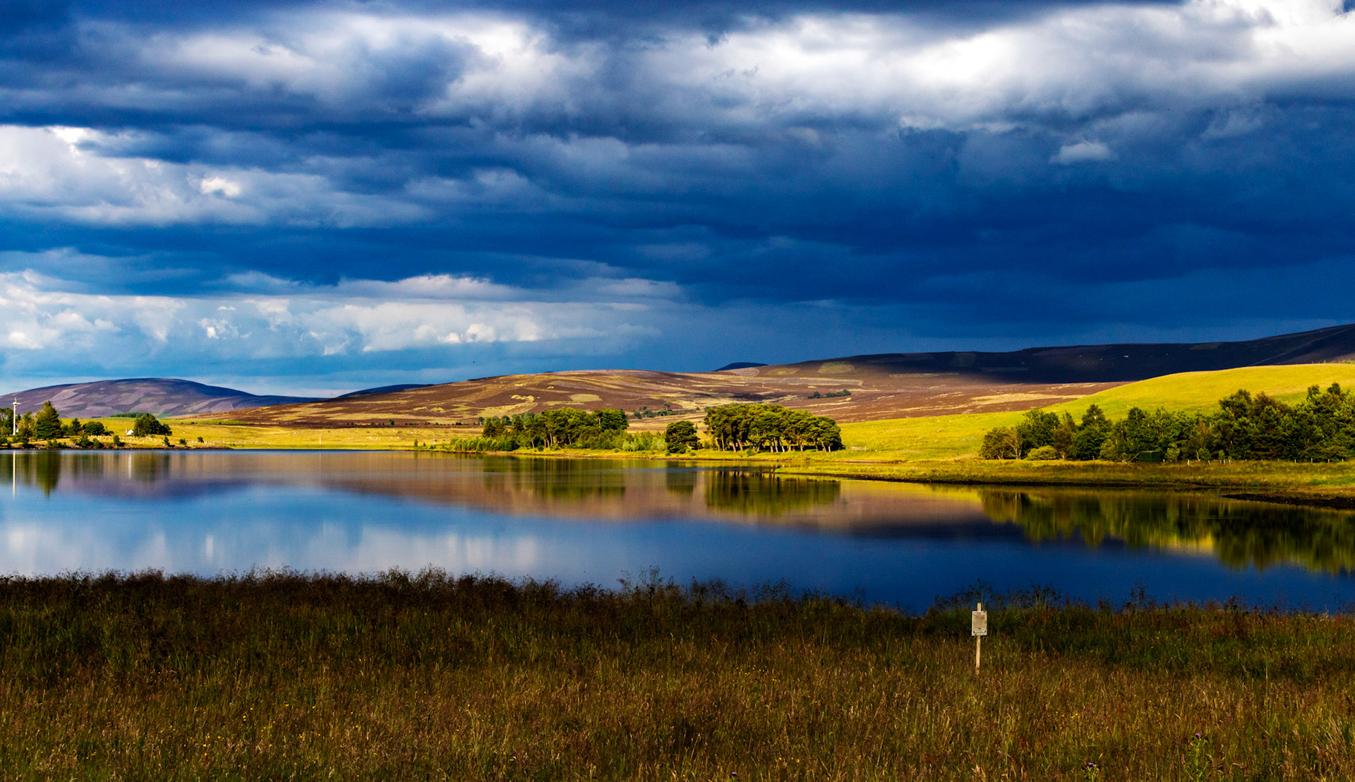 Harperrig 08 July 2024