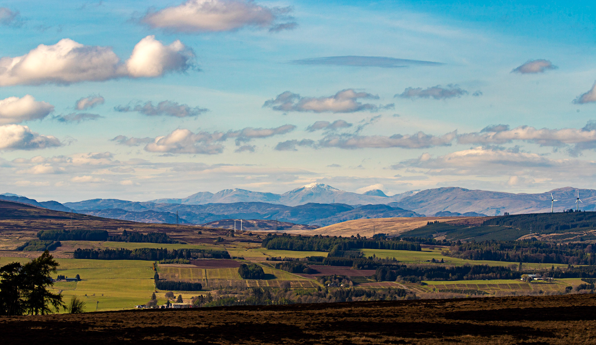 View at Sheriffmuir 20 April 2025
