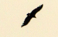 SollerPlease see my other Photographs at: http://www.jamespdeans.co.uk/