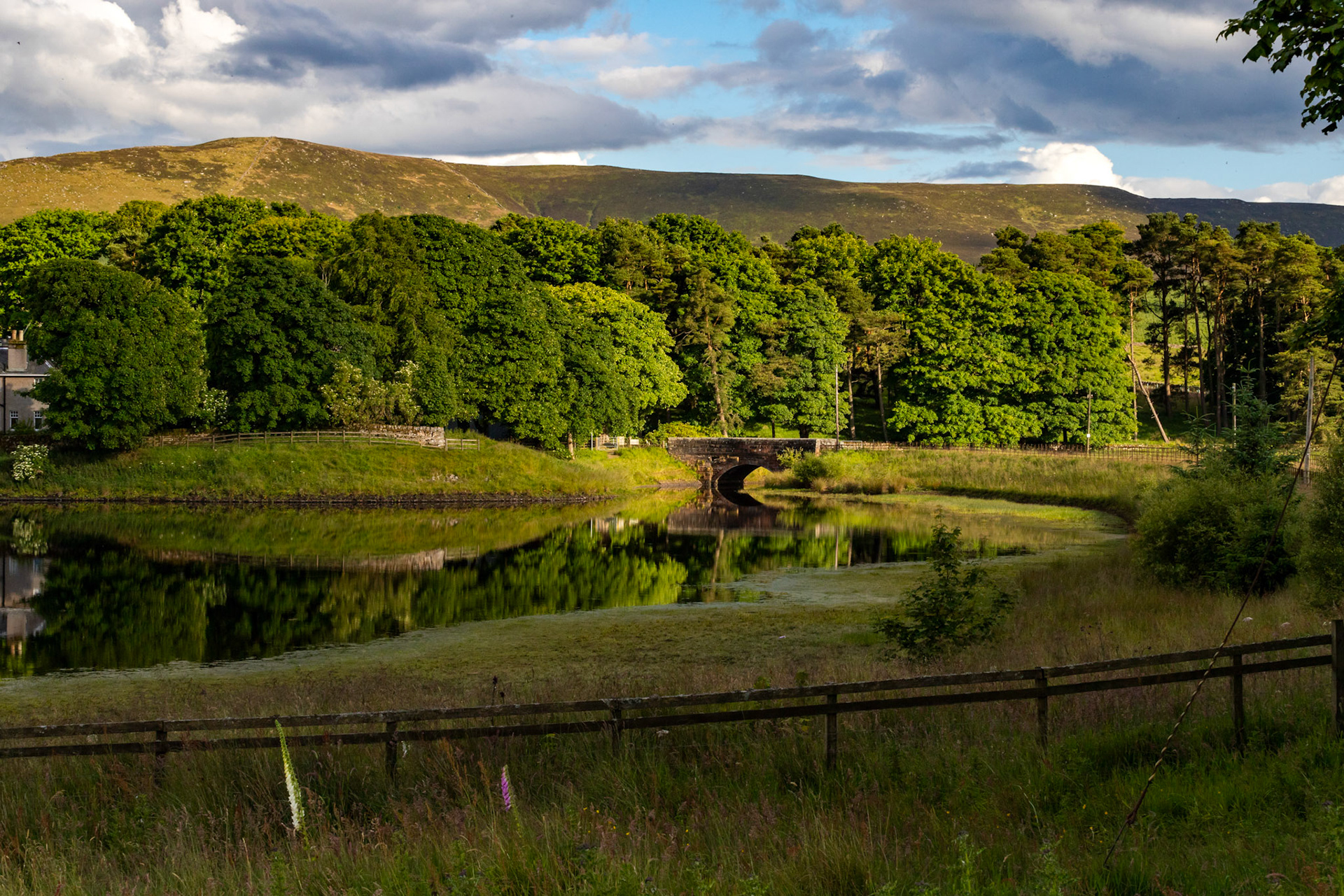 Harperrig 08 July 2024