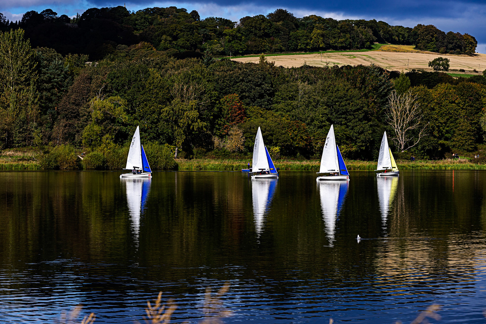Sailing on Linlithgow Loch, with Reflections - 24 September 2022