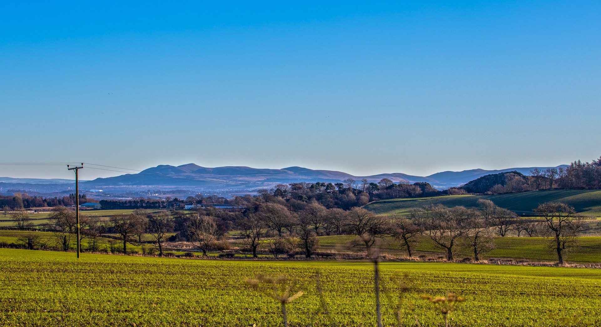 Binny Craig 17 January 2024