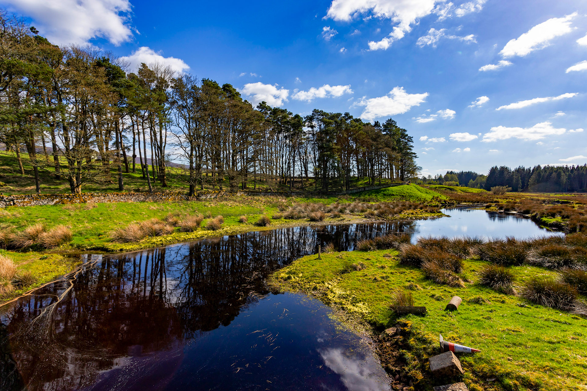 Harperrig 24 April 2024