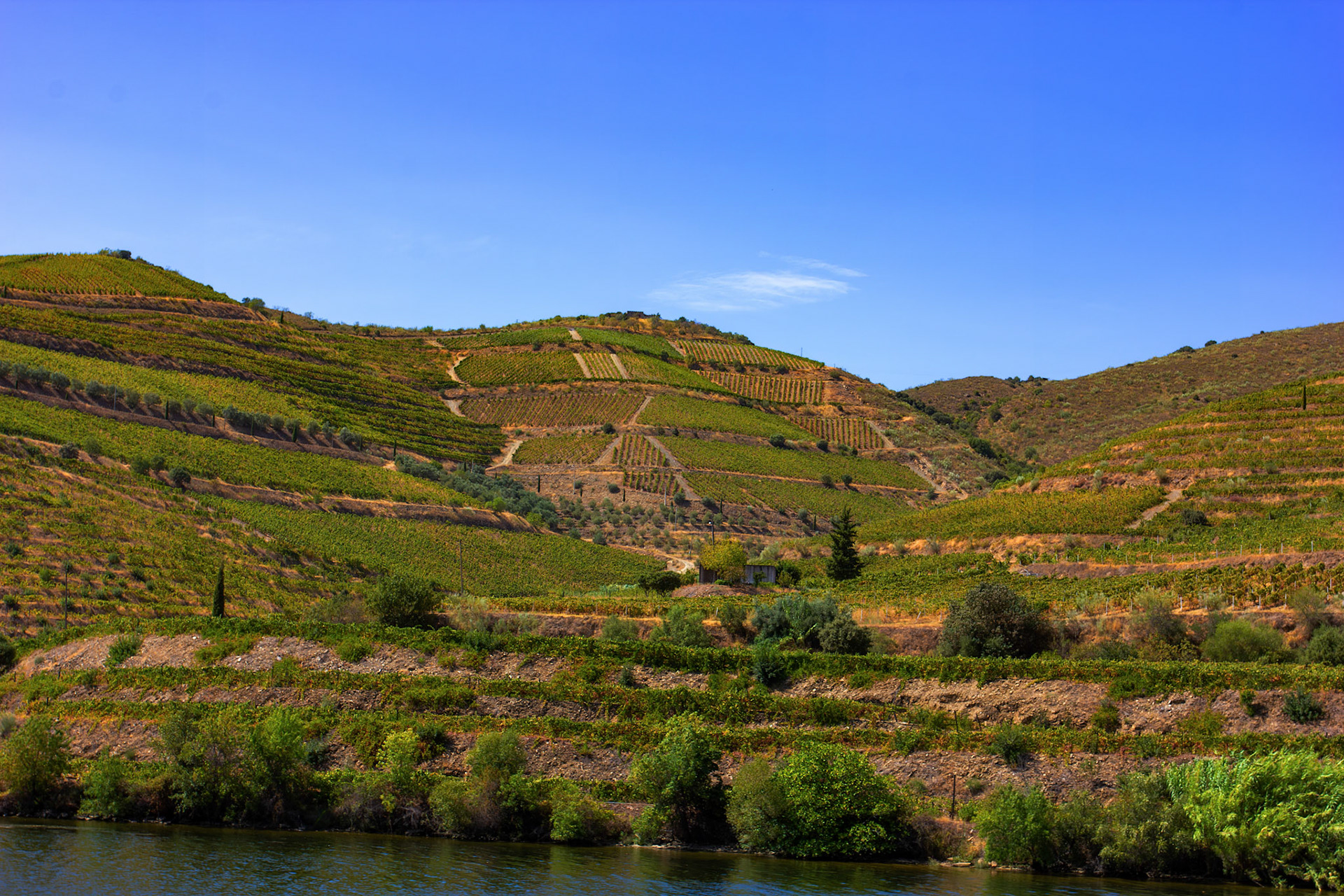 Douro cruise 22 August 2026