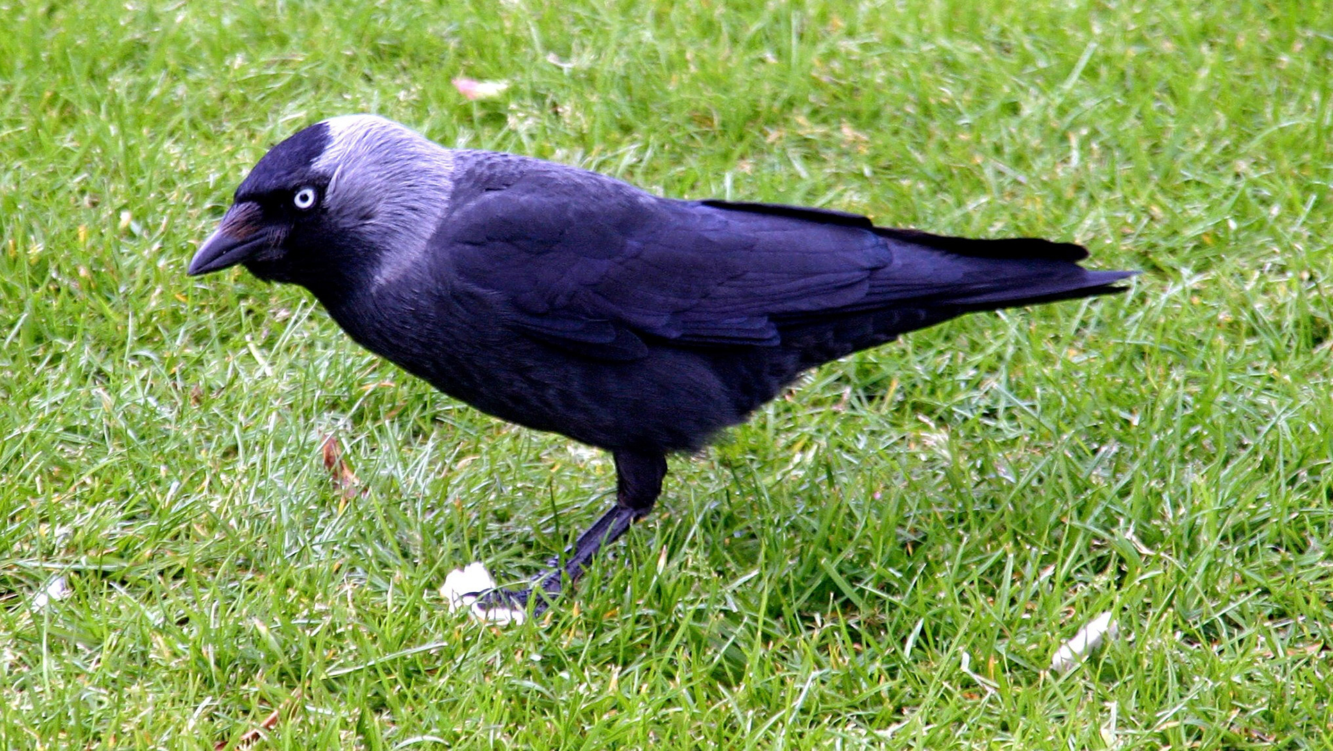 EdinburghPlease see my other Photographs at: http://www.jamespdeans.co.uk/