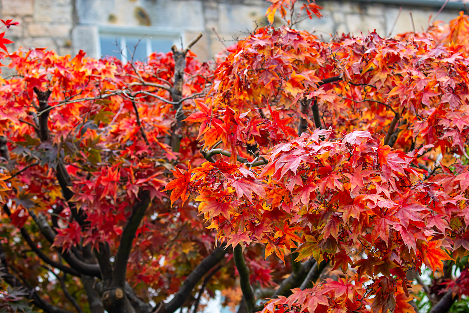 Cramond 18 October 2024