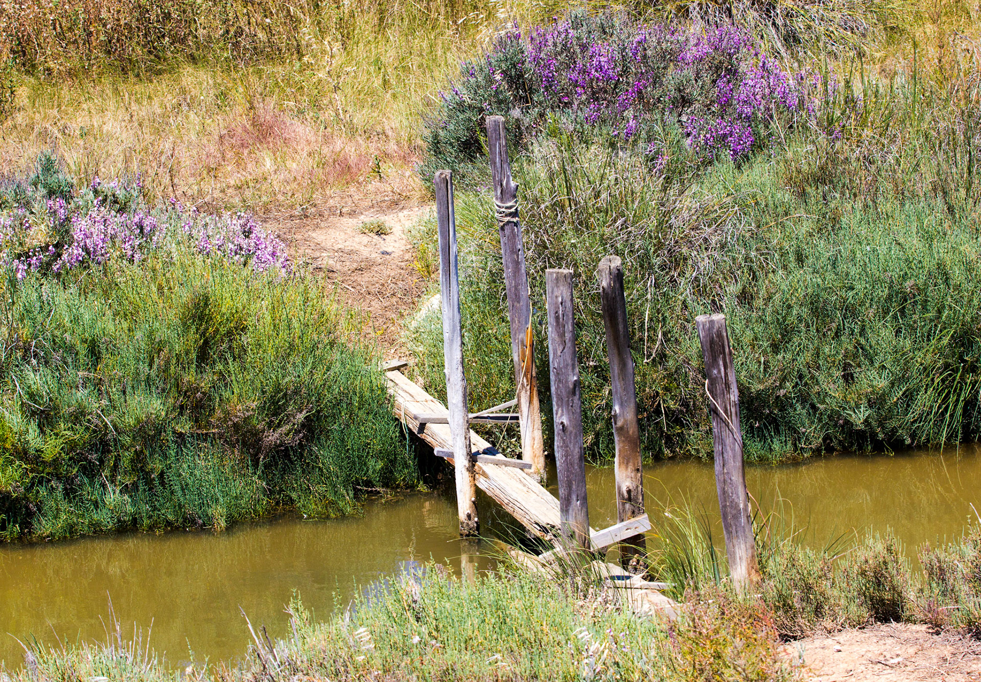 Rickety Bridge - my wife did not want to cross this.