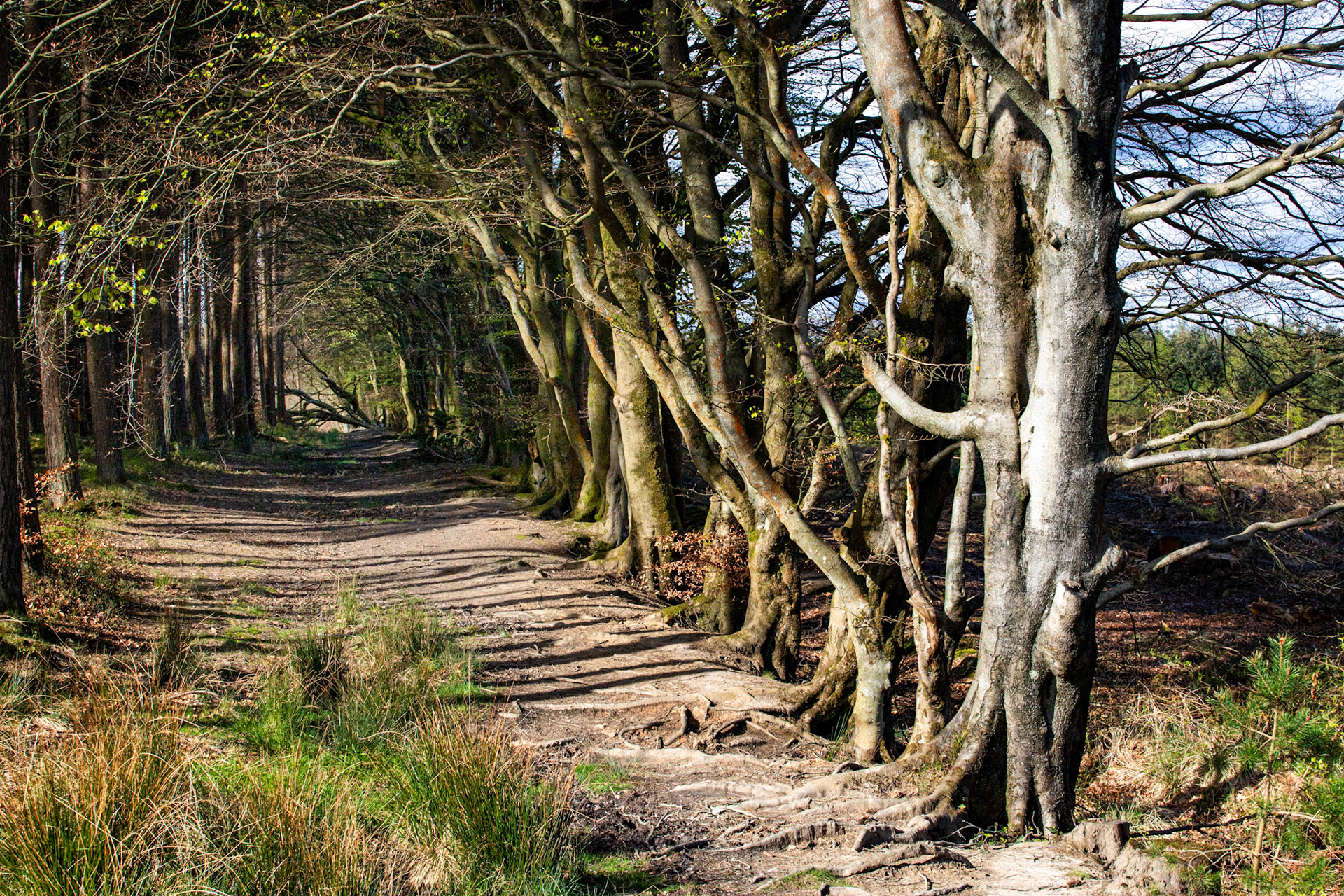 Selm Muir 26 April 2024