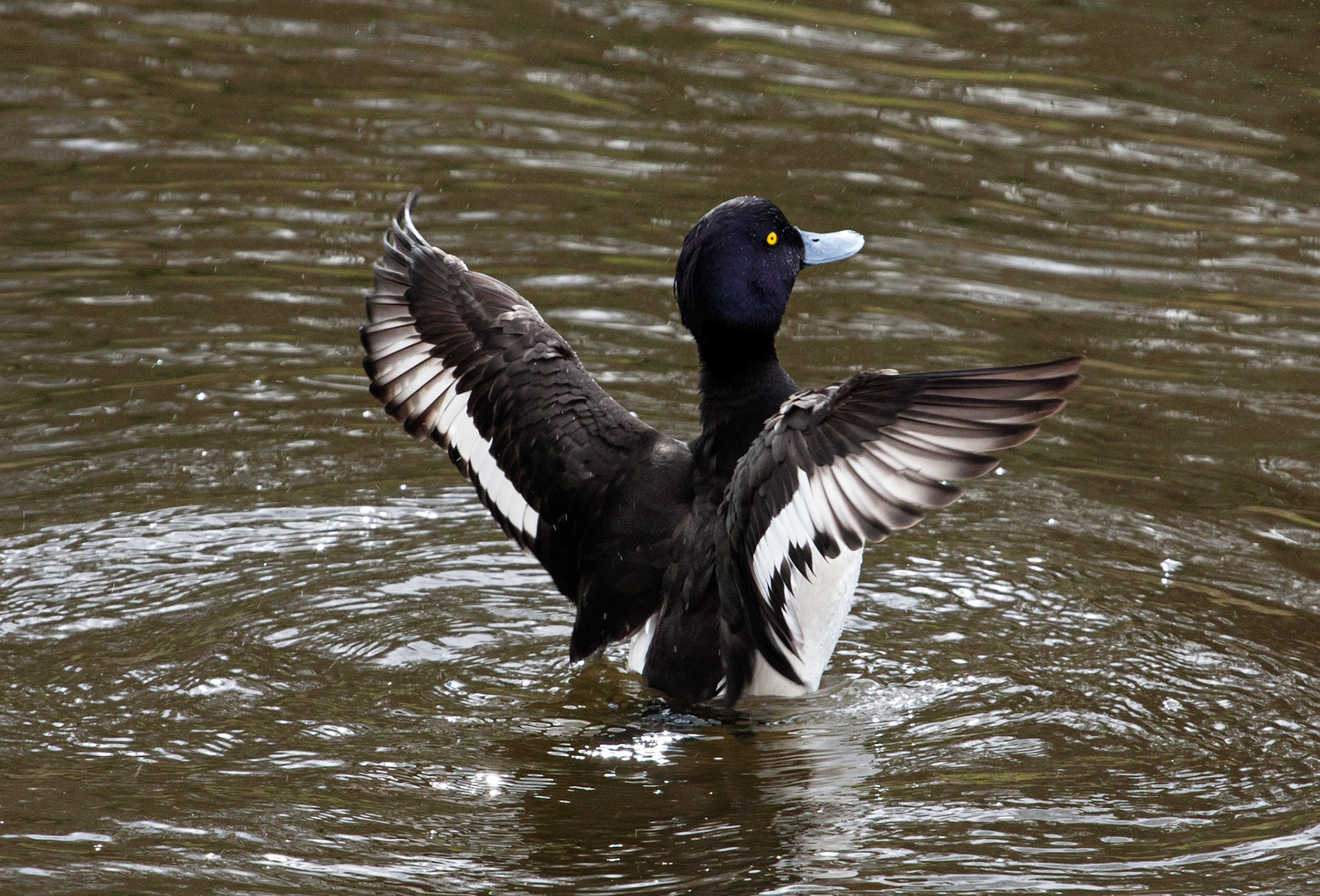 Callendar ParkPlease see my other Photographs at: http://www.jamespdeans.co.uk/