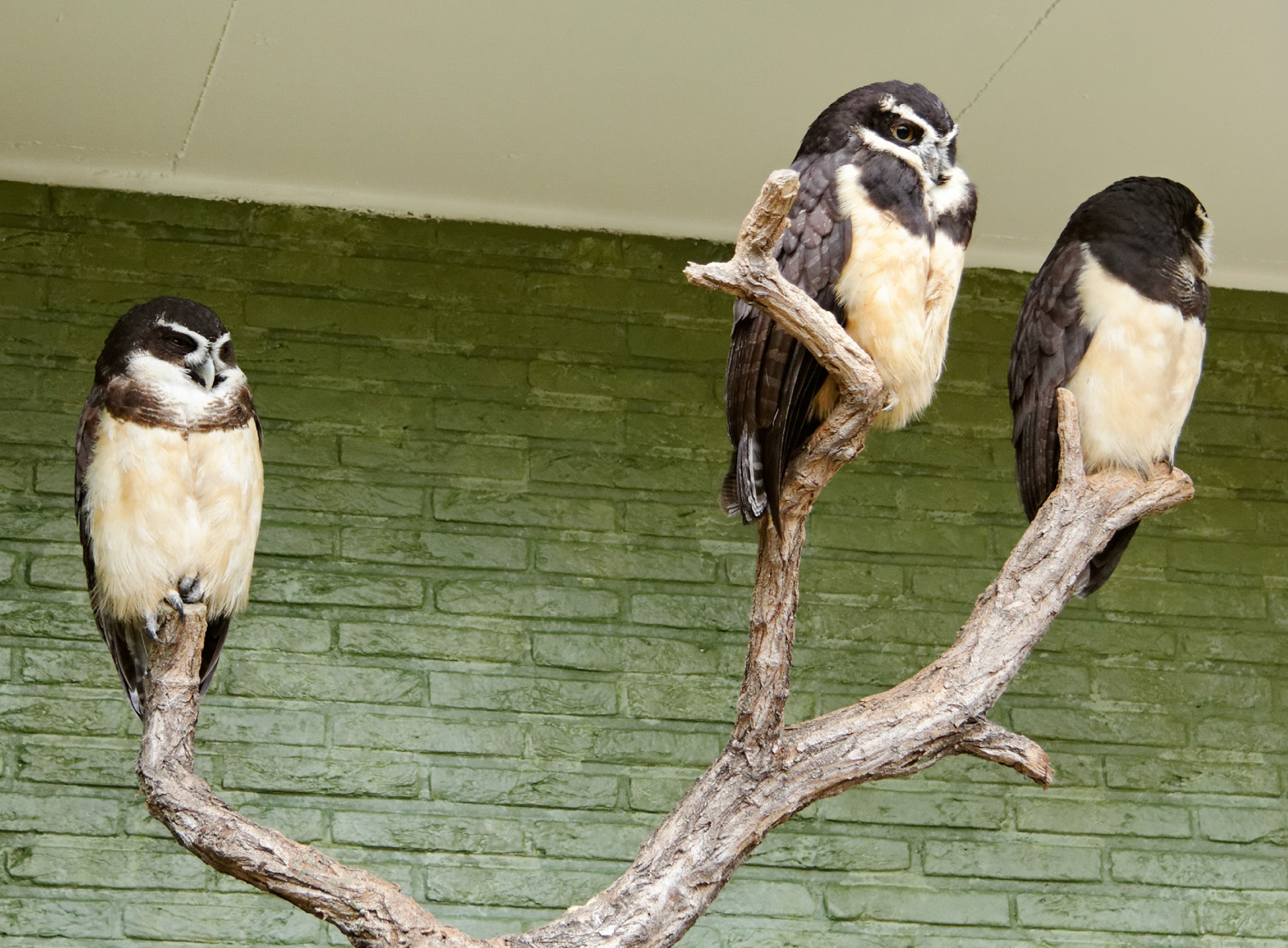 AntwerpPlease see my other Photographs at: http://www.jamespdeans.co.uk/