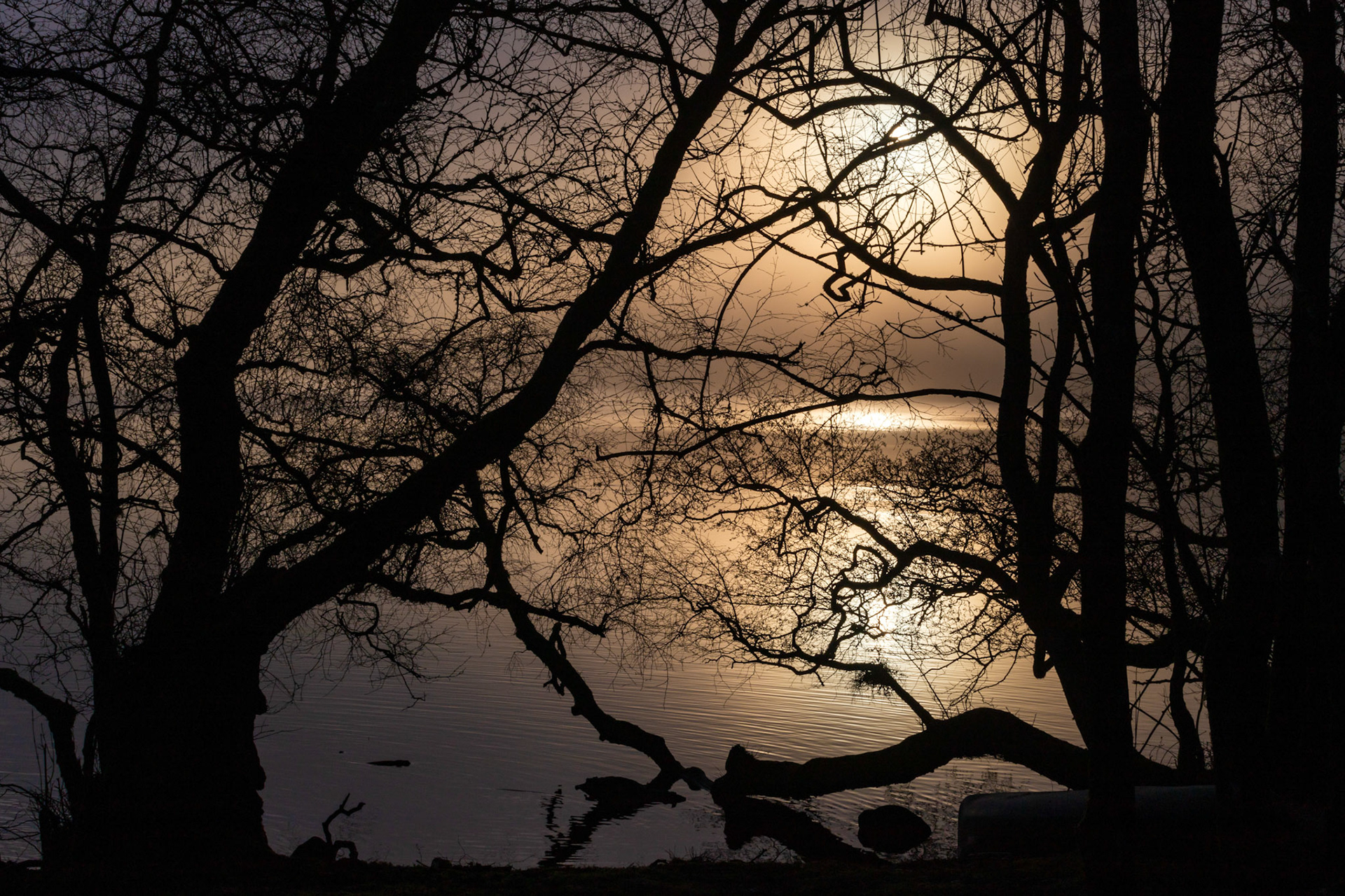 Sunrise atLoch o' the Lowes - Day Out 01 March 2024