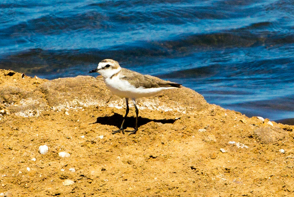 Eastern AlgarvePlease see my other Photographs at: http://www.jamespdeans.co.uk/