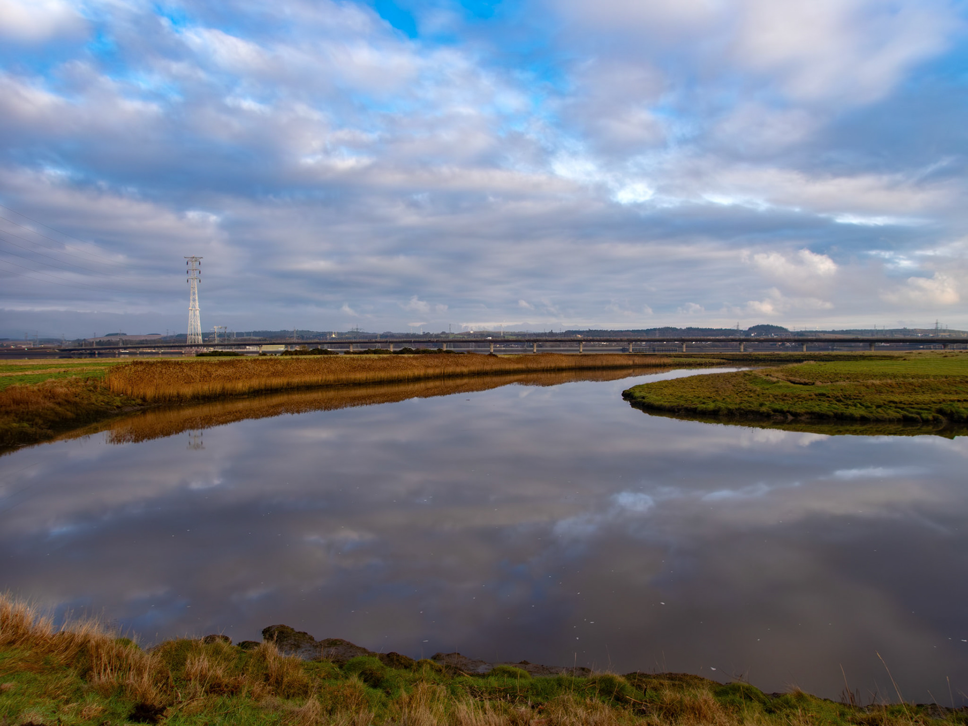 Higgins Neuk 17 January 2026