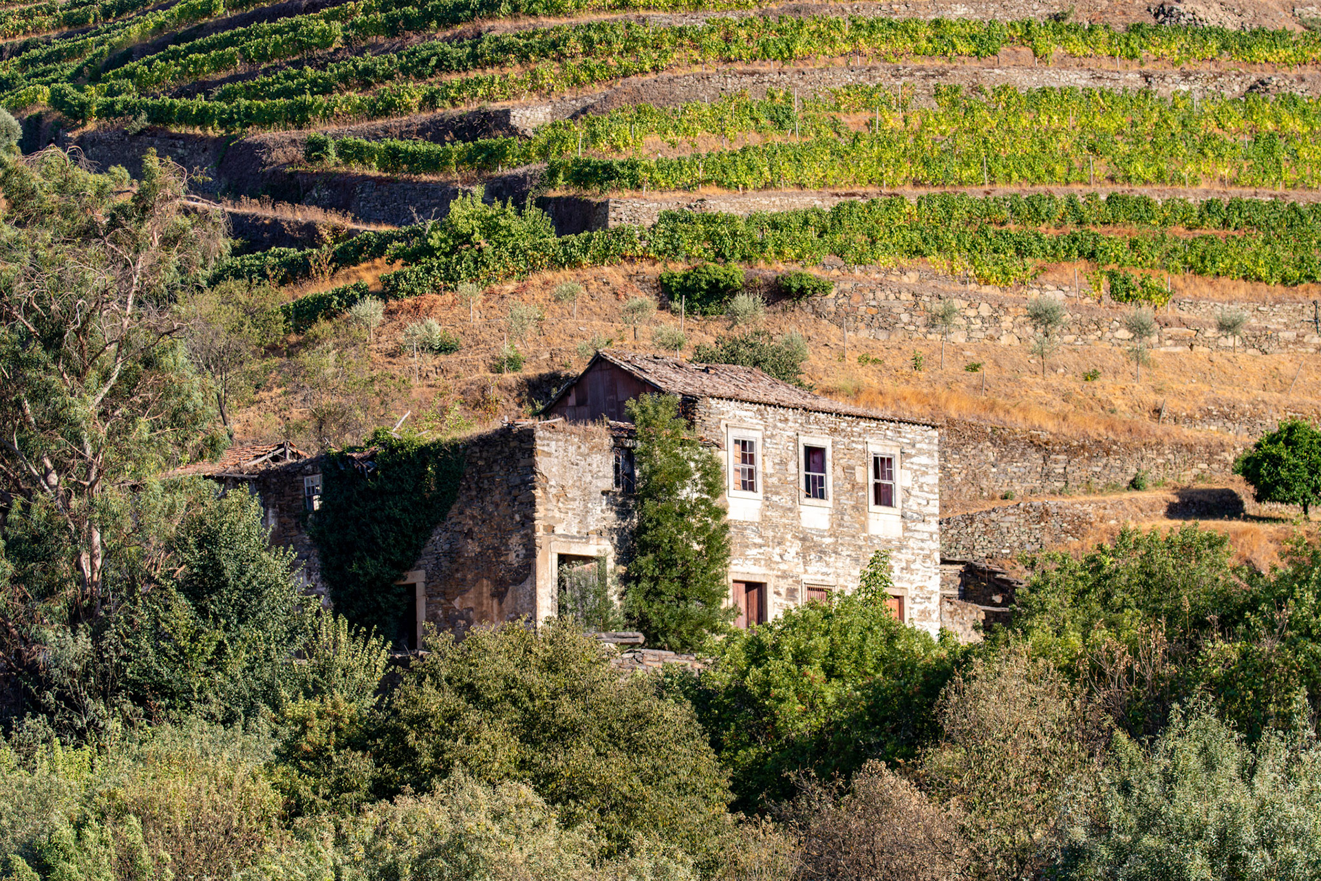 Douro cruise 21 August 2026