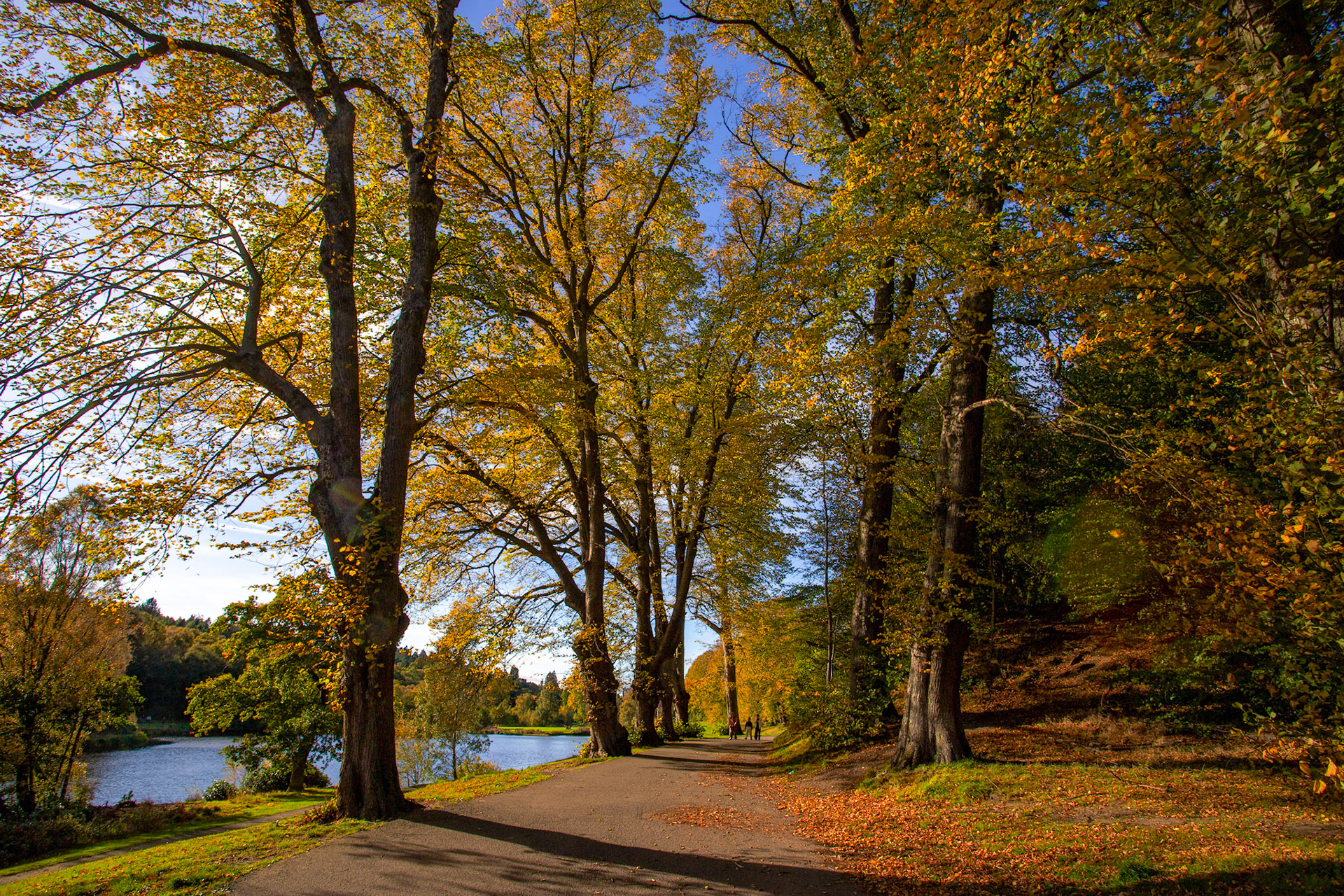 Callendar Park, Falkirk 11 October 2025