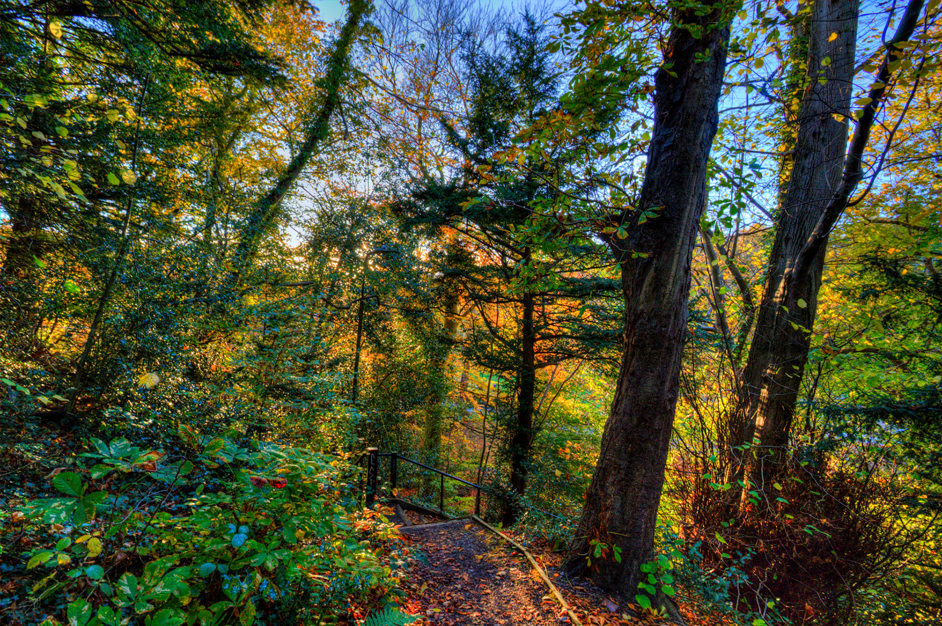 Colinton 27 October 2025