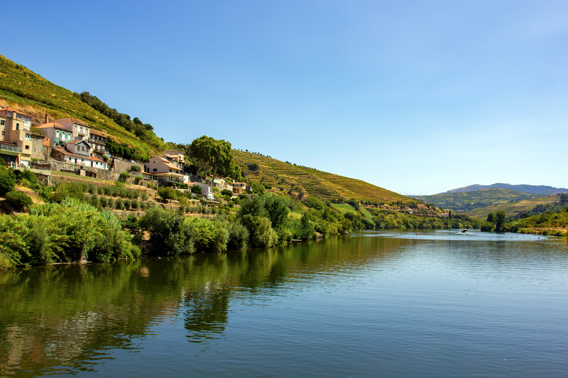 Douro cruise 21 August 2026