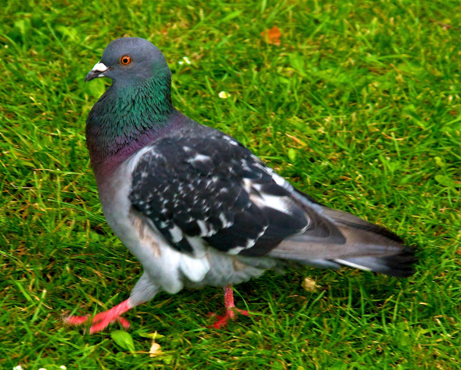 LondonPlease see my other Photographs at: http://www.jamespdeans.co.uk/