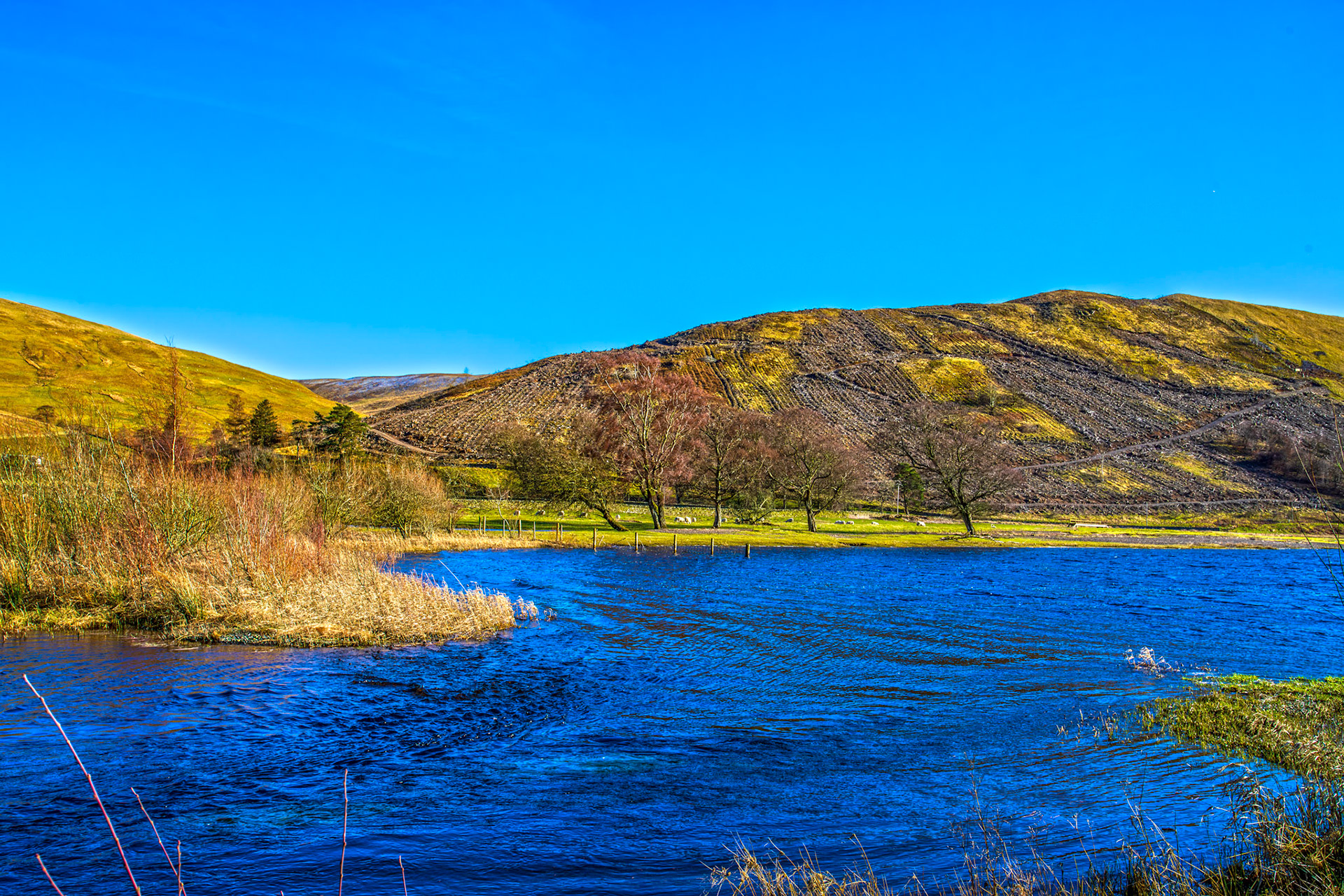 Loch of the Lowes at Tibbie Shiels Inn 07 March 2026