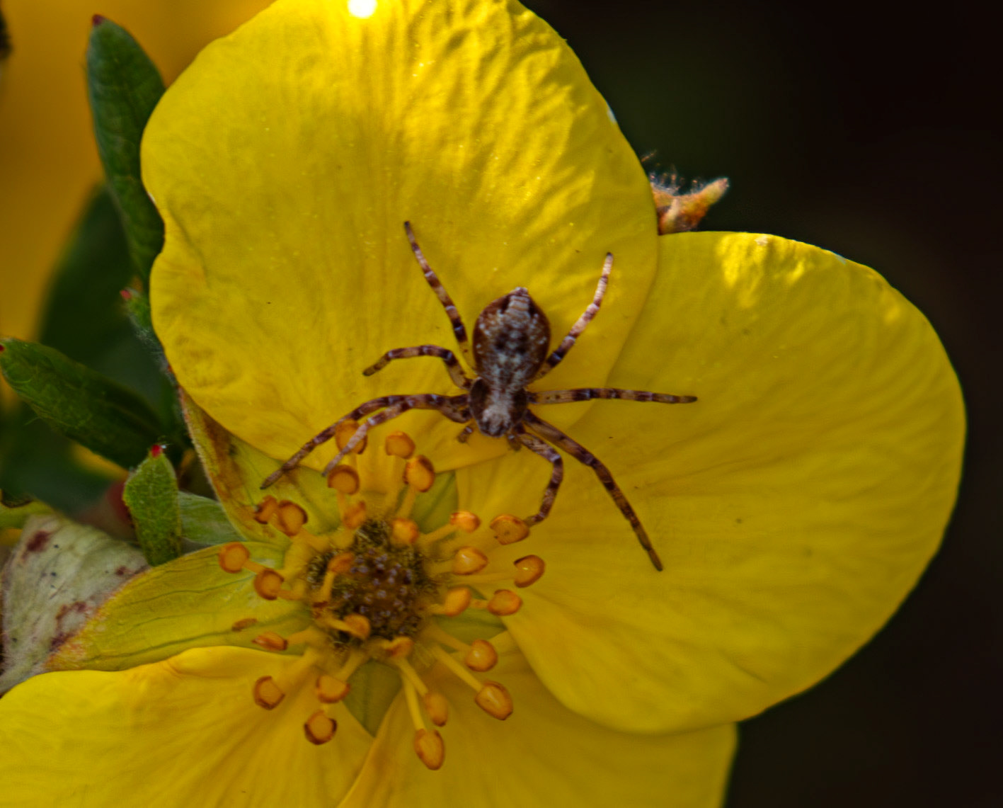 Slough 05 August 2025