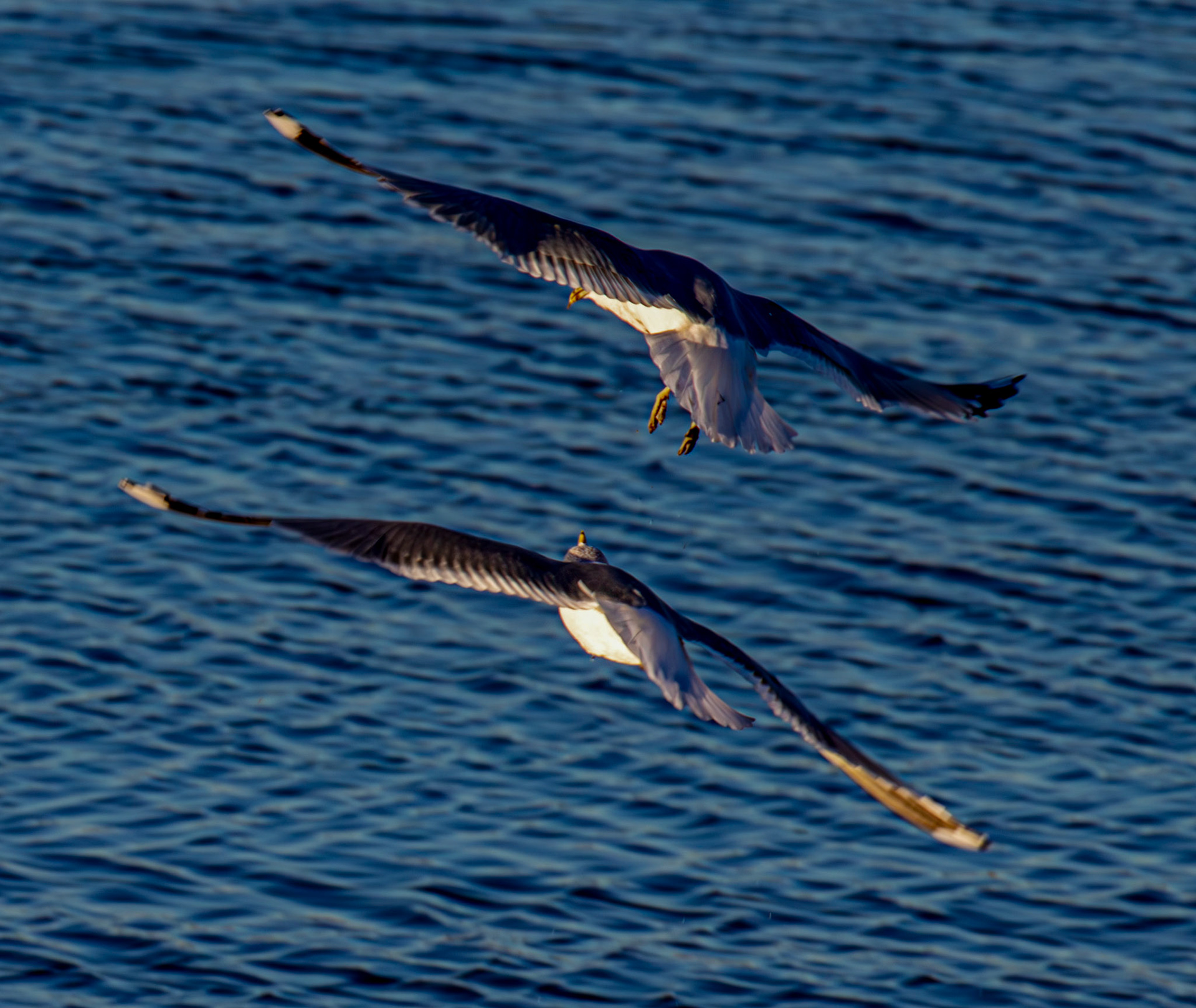 Blackness 30 November 2025