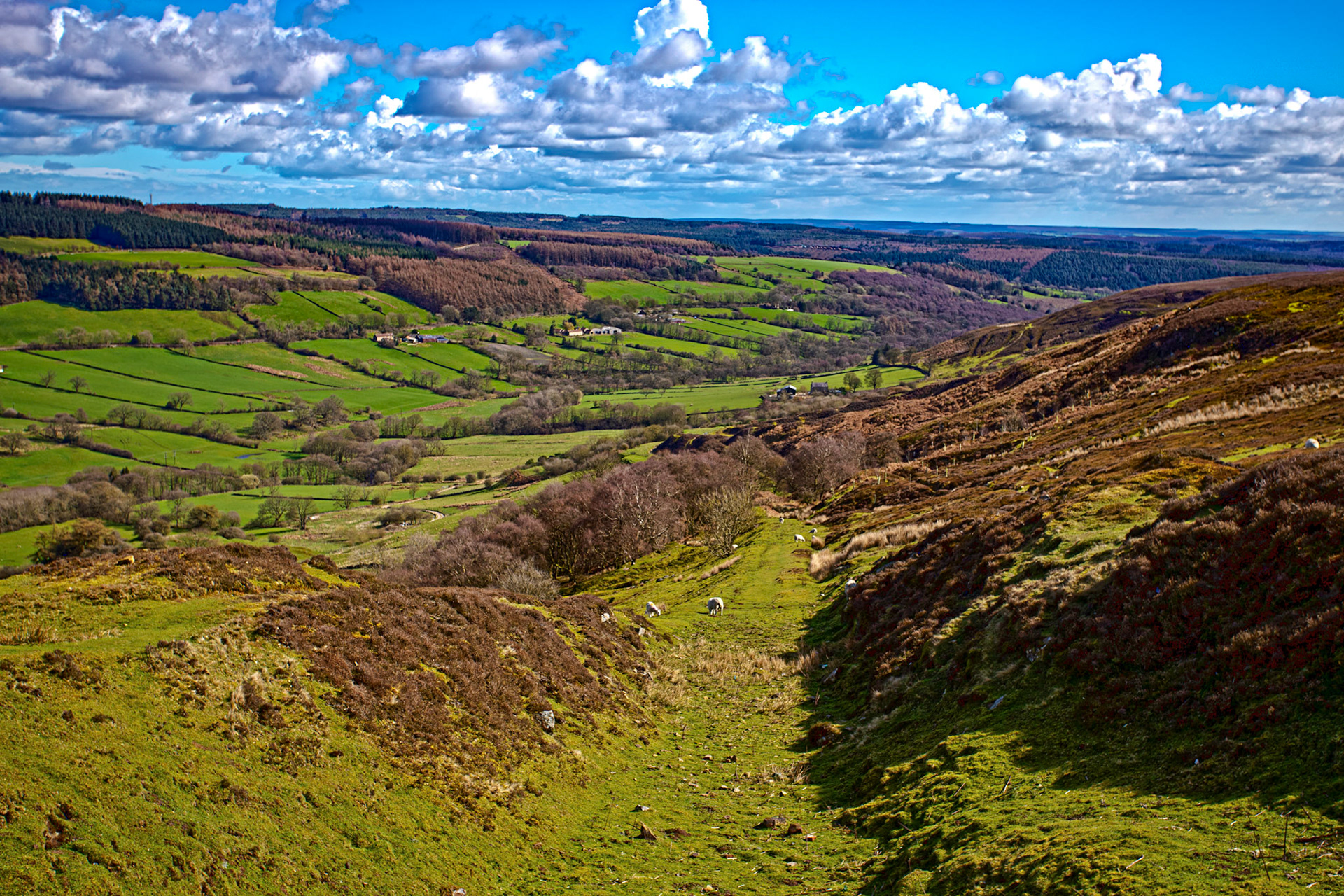 Chimney Bank - North York Moors 25 March 2026The old tramway route.