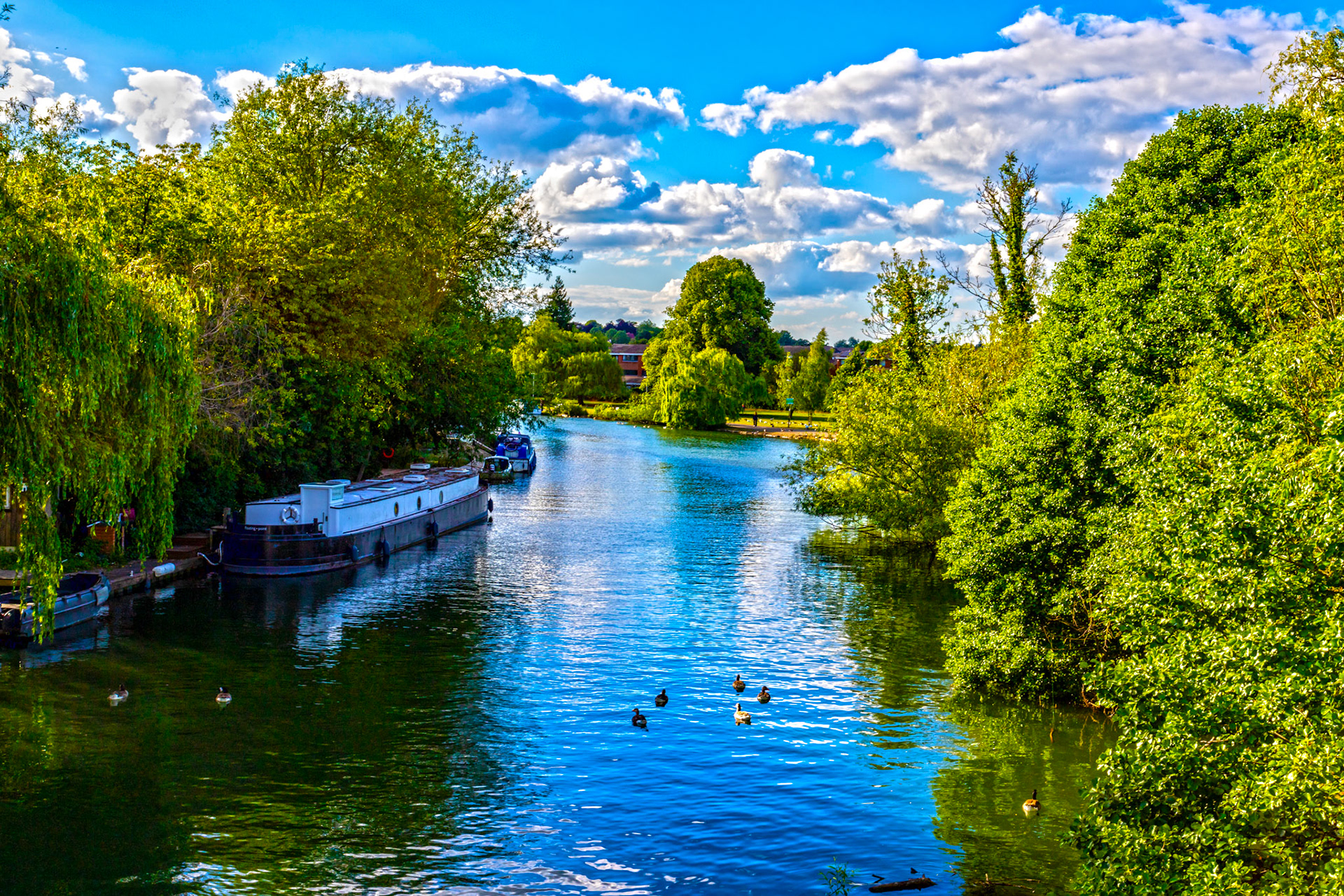 Reading 08 June 2024