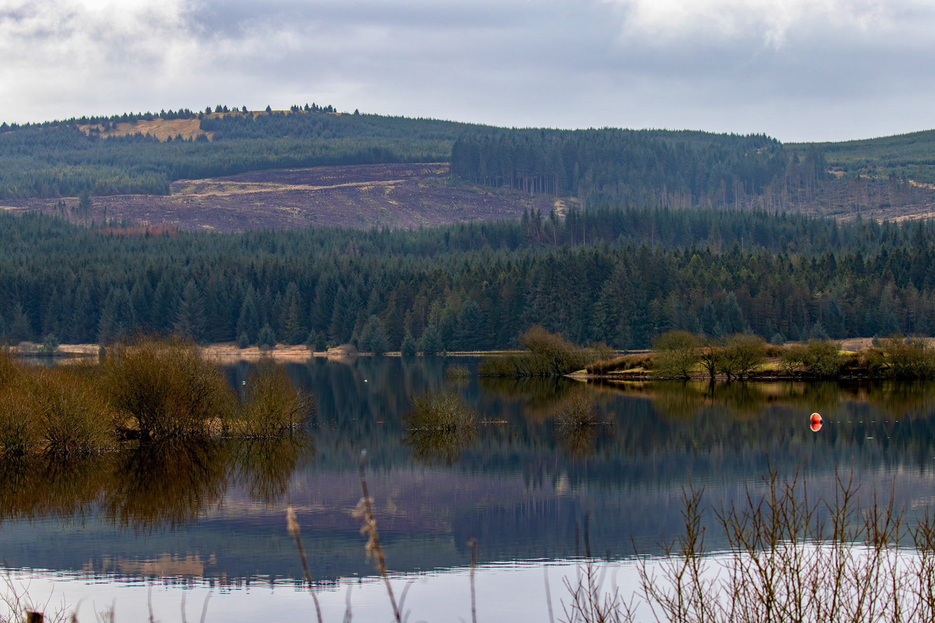Carron Valley Reservoir 28 February 2026