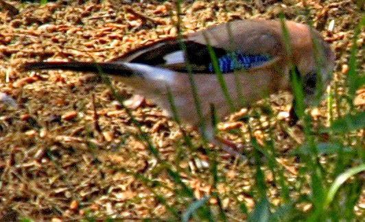 ViareggioPlease see my other Photographs at: http://www.jamespdeans.co.uk/