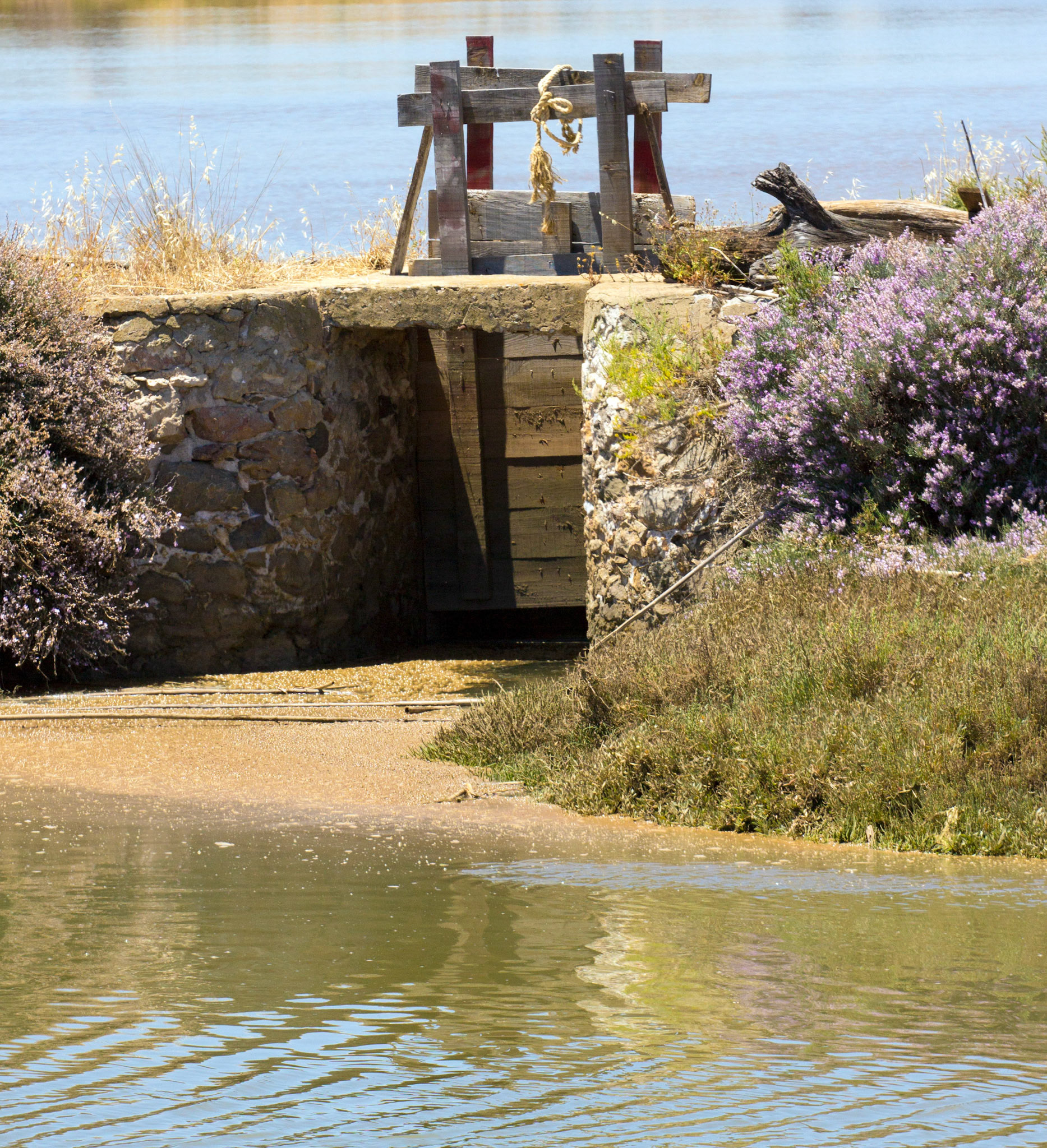 Salt Pans at Tavira