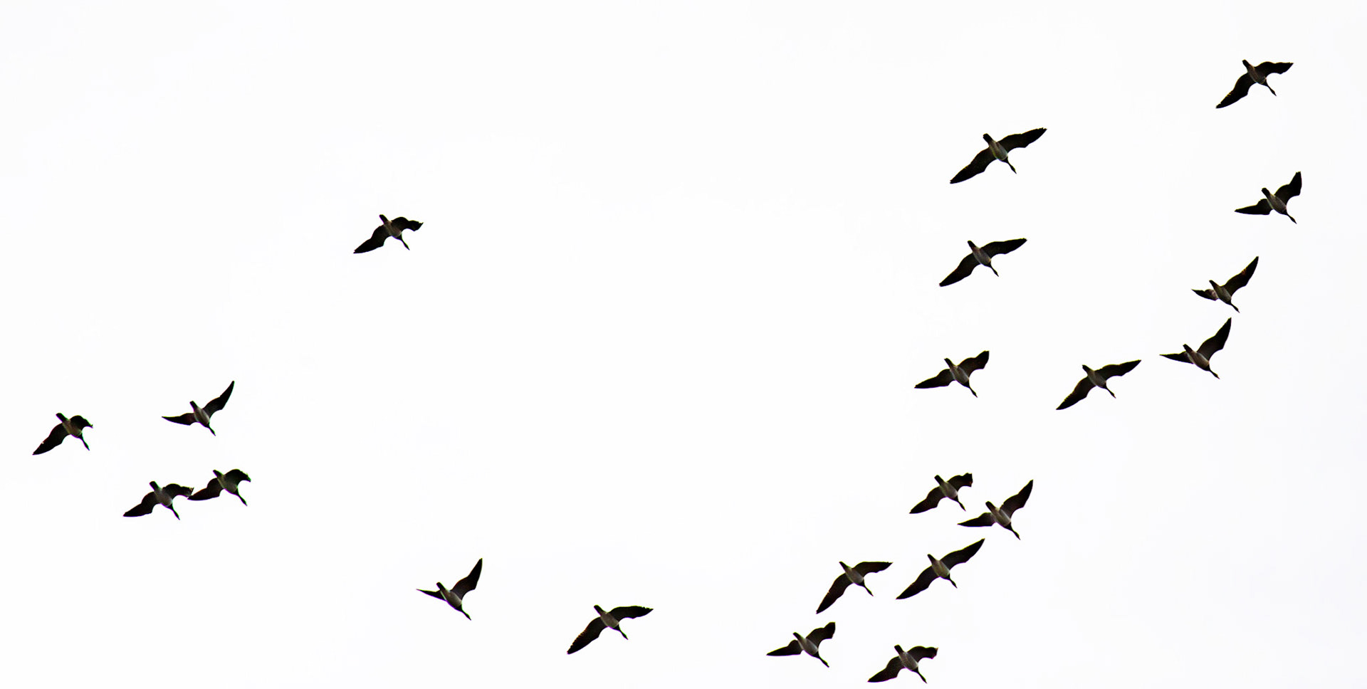 Bavelaw 24 Sept 2025