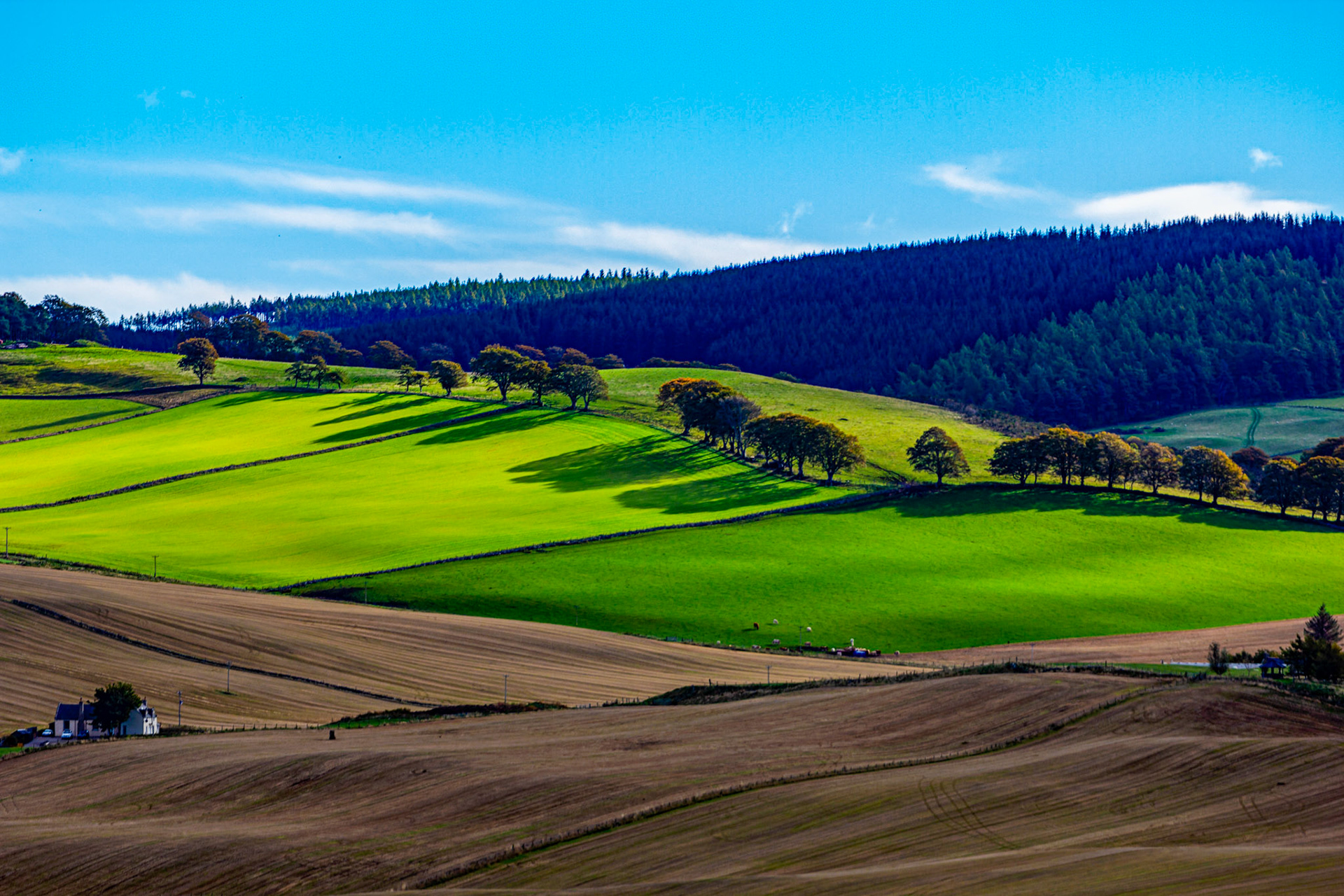 Autumn in Aberdeenshire 14 to 16 October 2022
