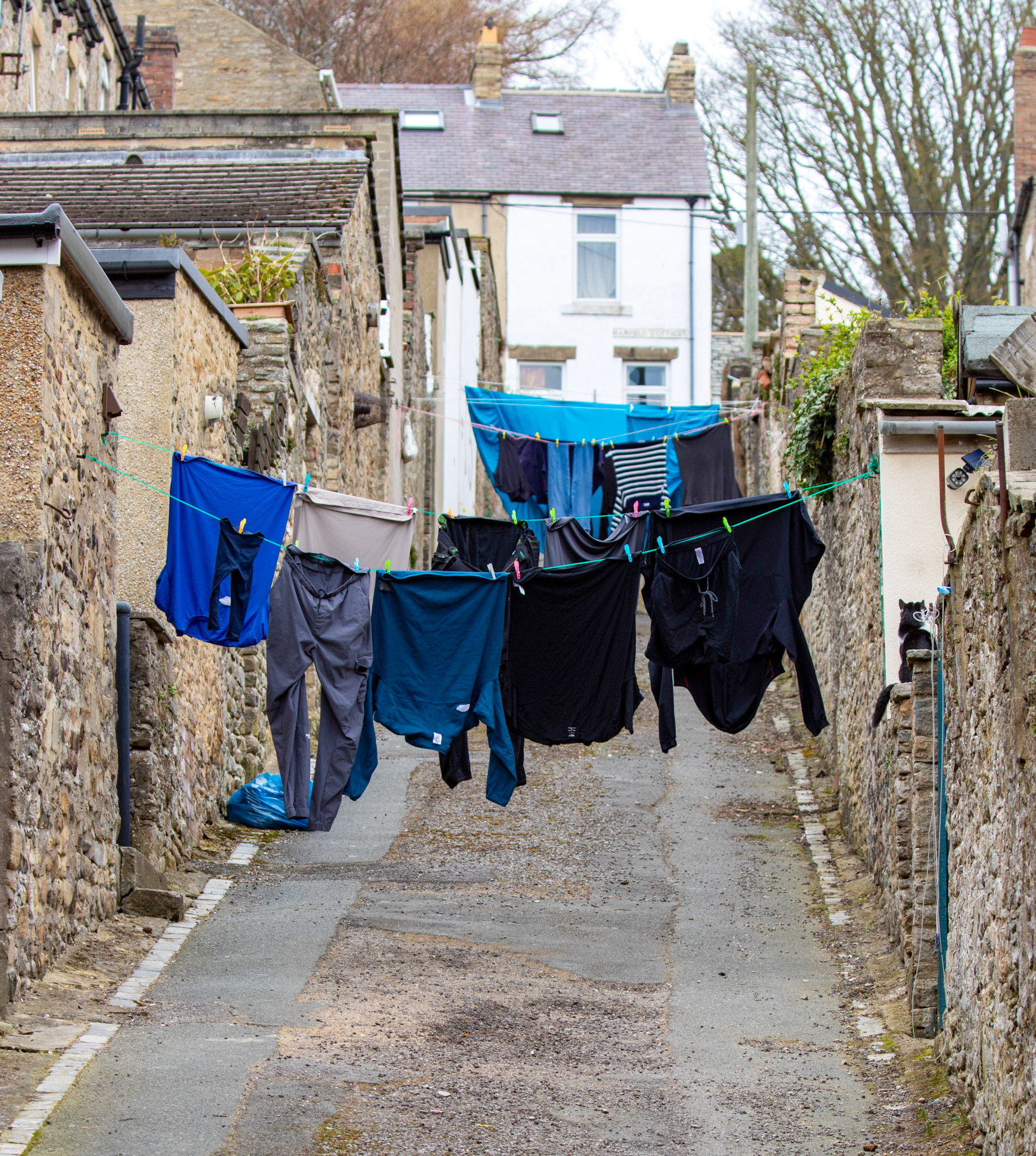 Wasking over the Road - Stanhope 23 March 2026