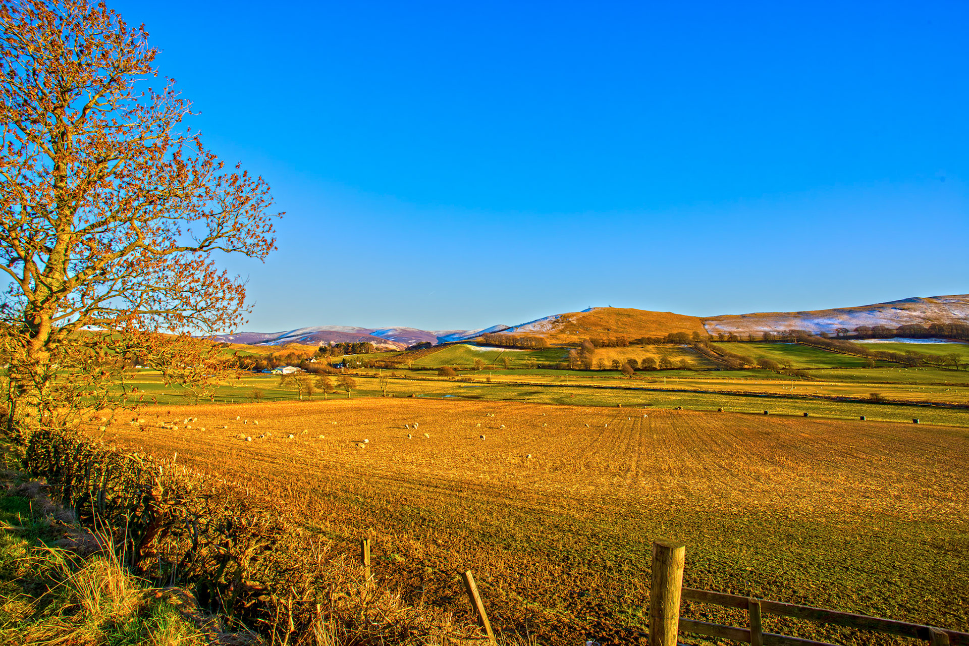 View from B7016 between Broughton and Biggar 07 March 2026