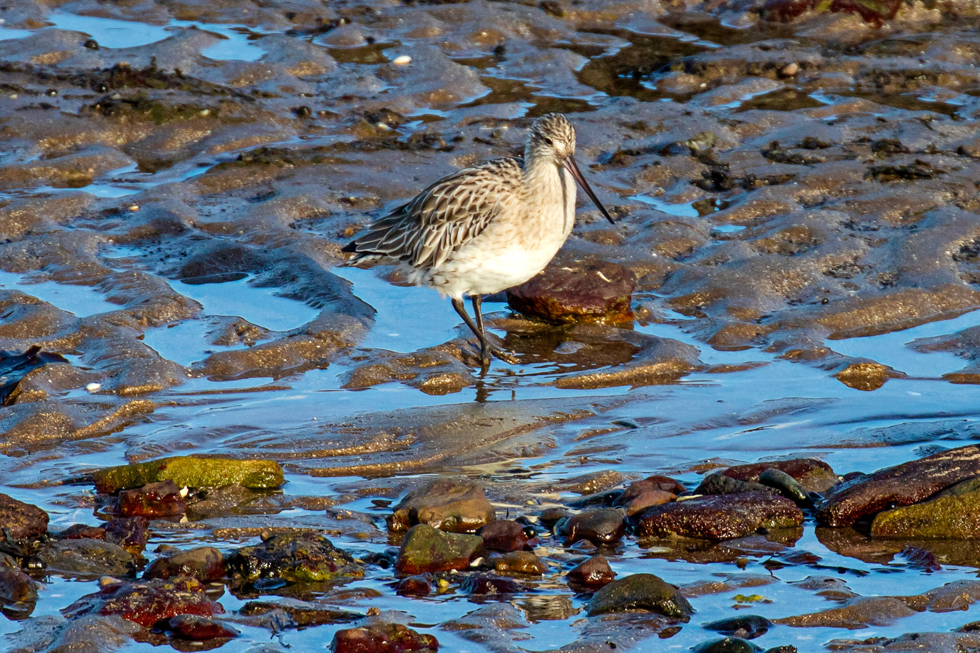 Port Seton 18 November 2024