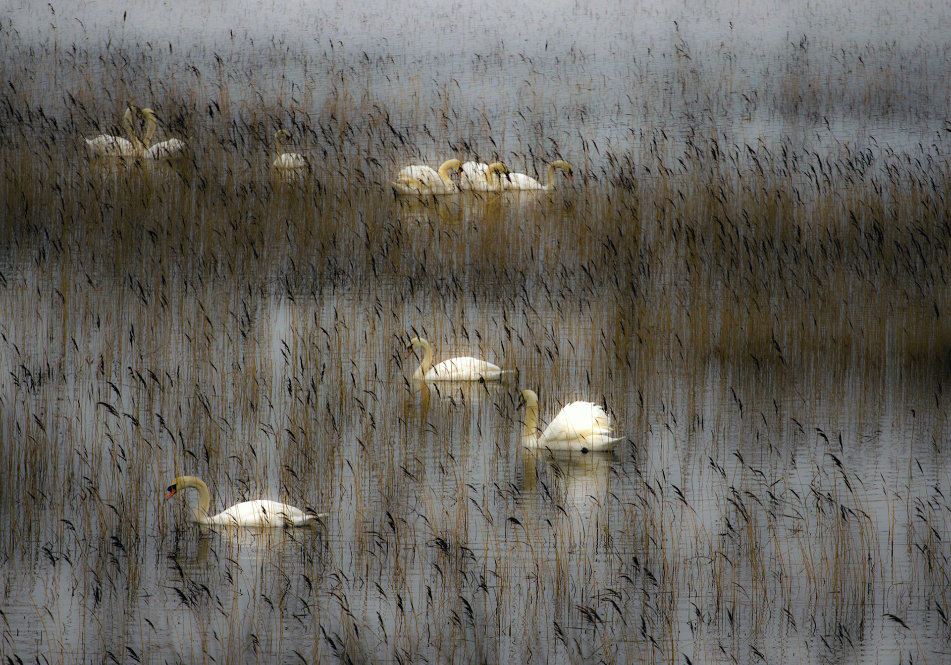 Spent a lovely Christmas at the Lochside Hotel. Great food and very comfortable hotel - just a shame about the weather.