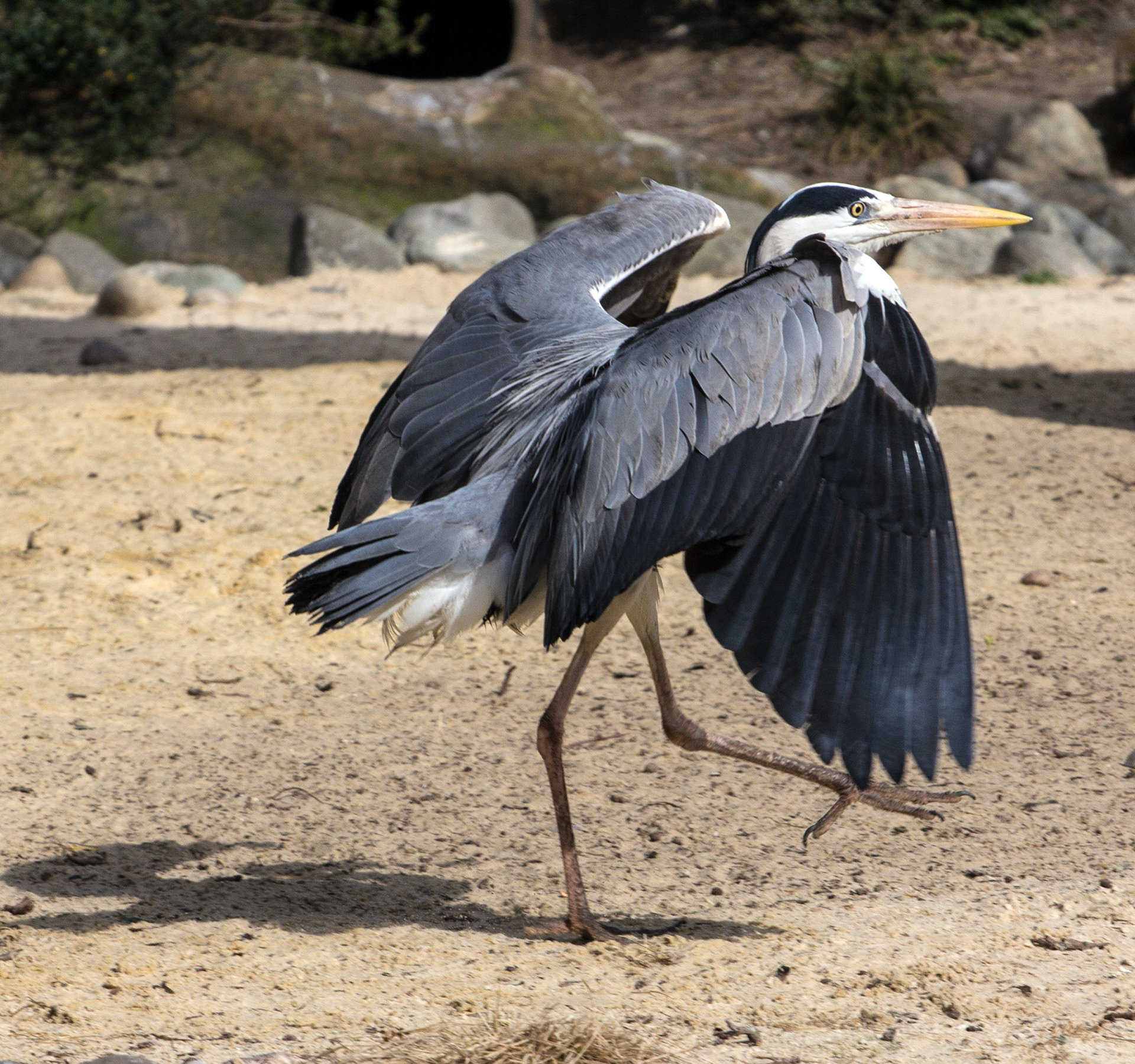 LondonPlease see my other Photographs at: http://www.jamespdeans.co.uk/