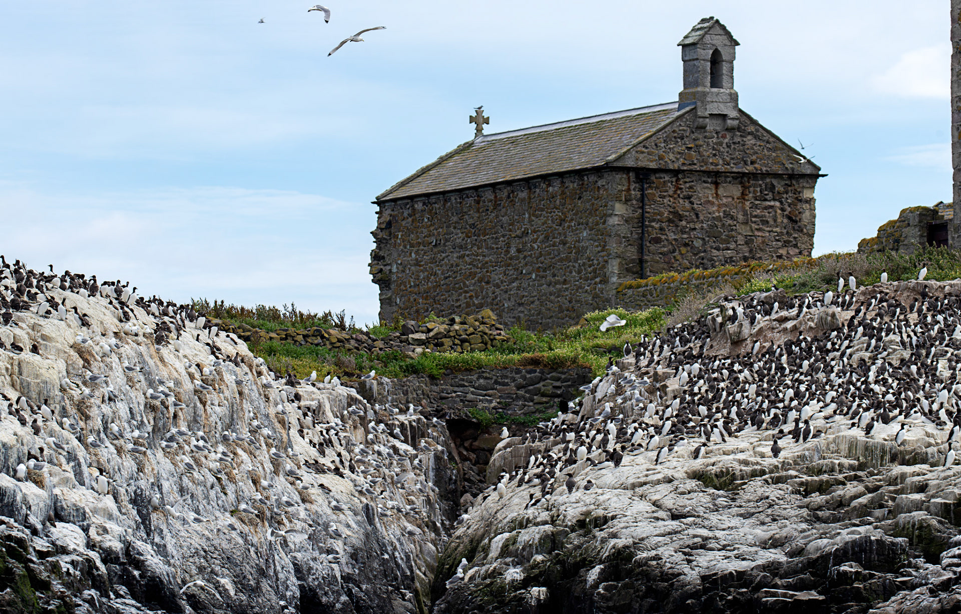 St Cuthbert's Chapel- Farne Islands 03 July 2026