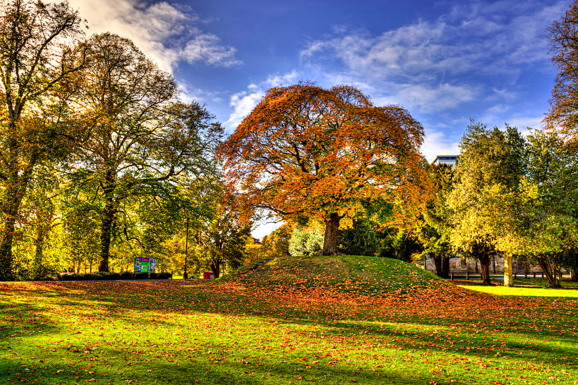 Callendar Park, Falkirk 11 October 2025