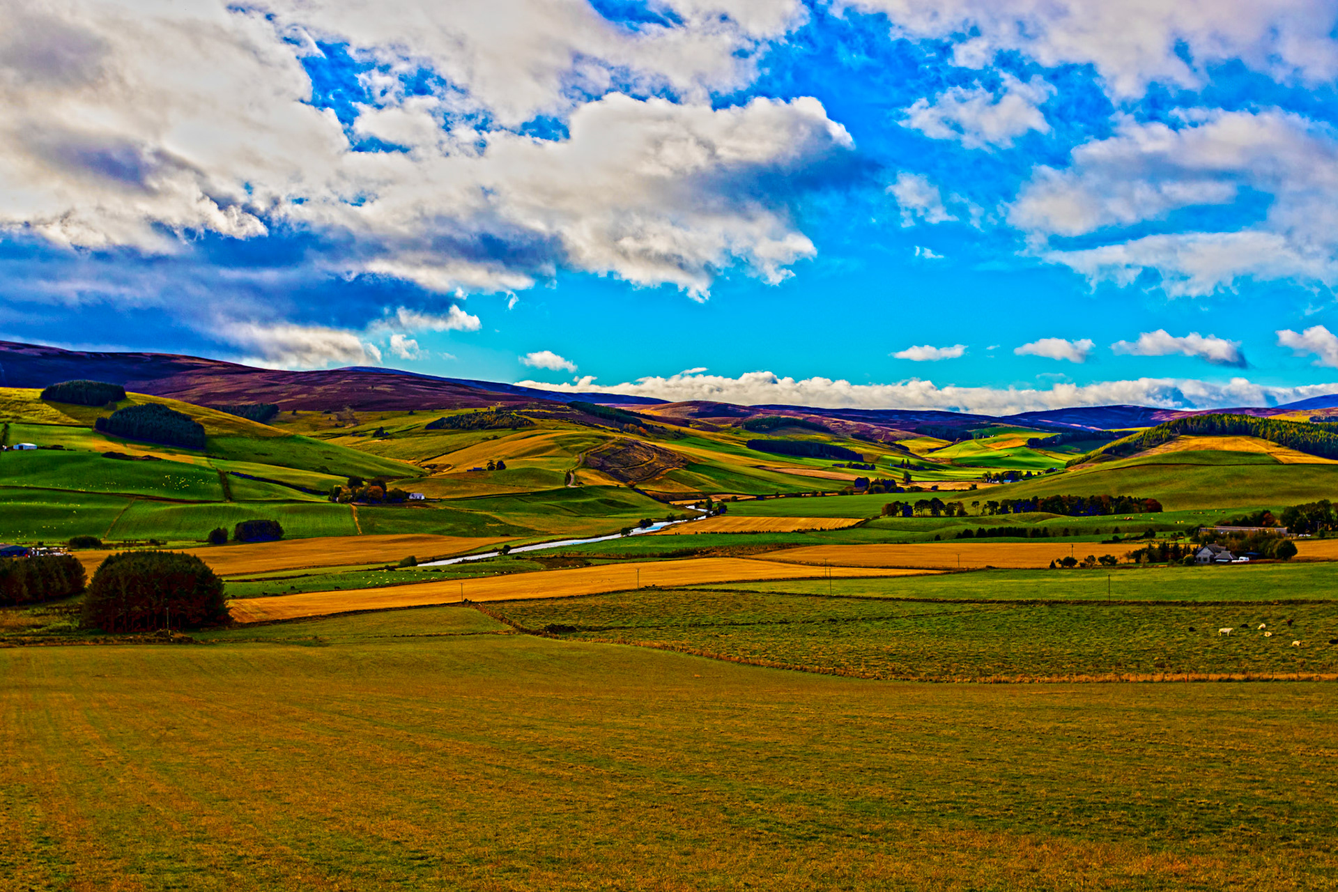 Autumn in Aberdeenshire 14 to 16 October 2022