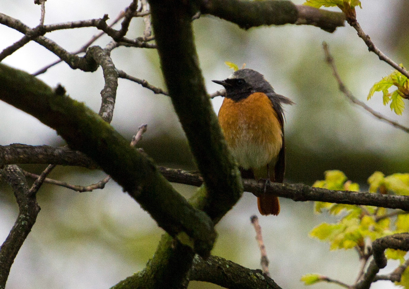 KarlsruhePlease see my other Photographs at: http://www.jamespdeans.co.uk/