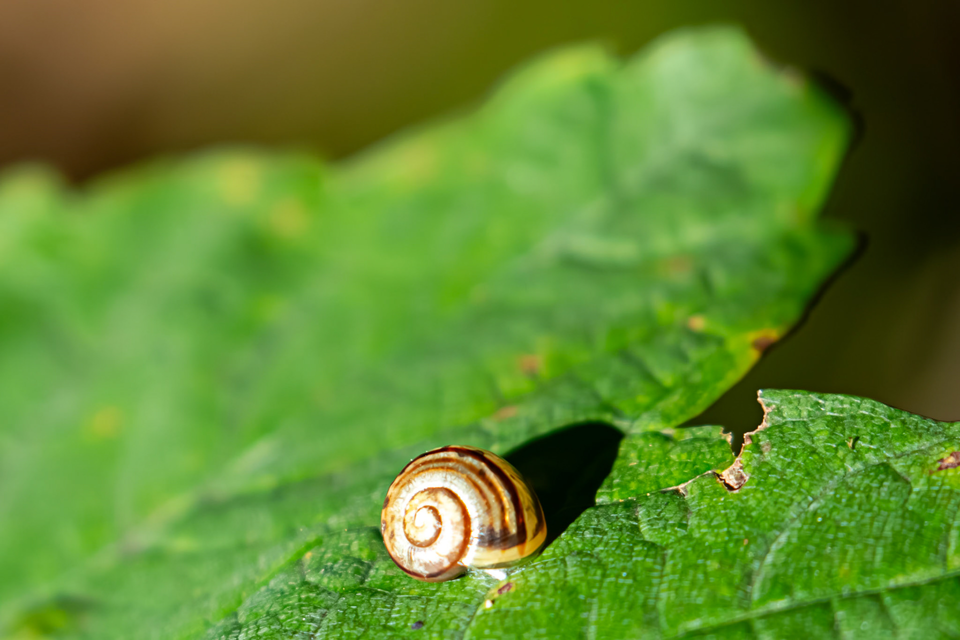 Livingston 10 Sept 2024