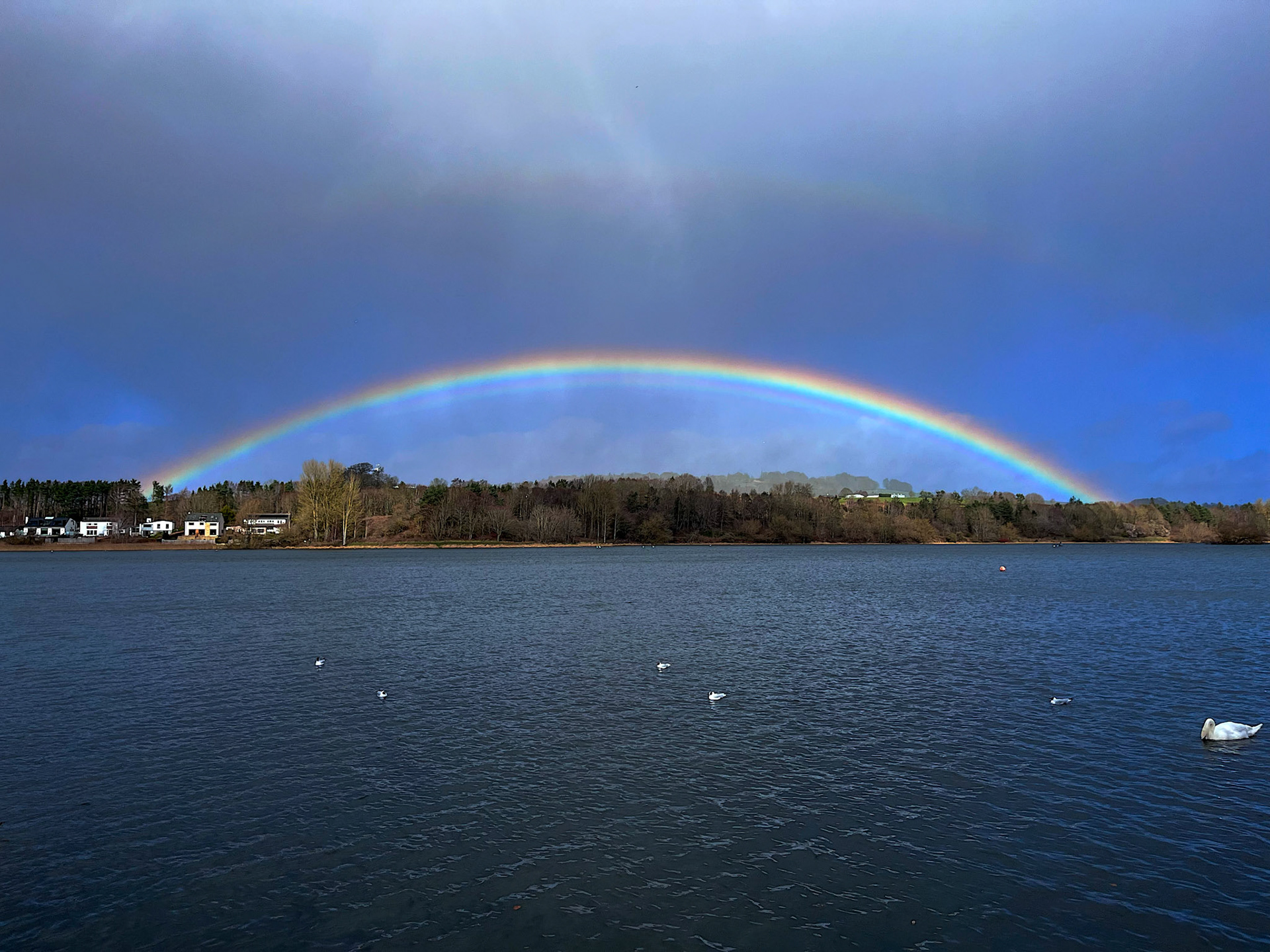 Rainbow at Linlithgow Loch 11 March 2026