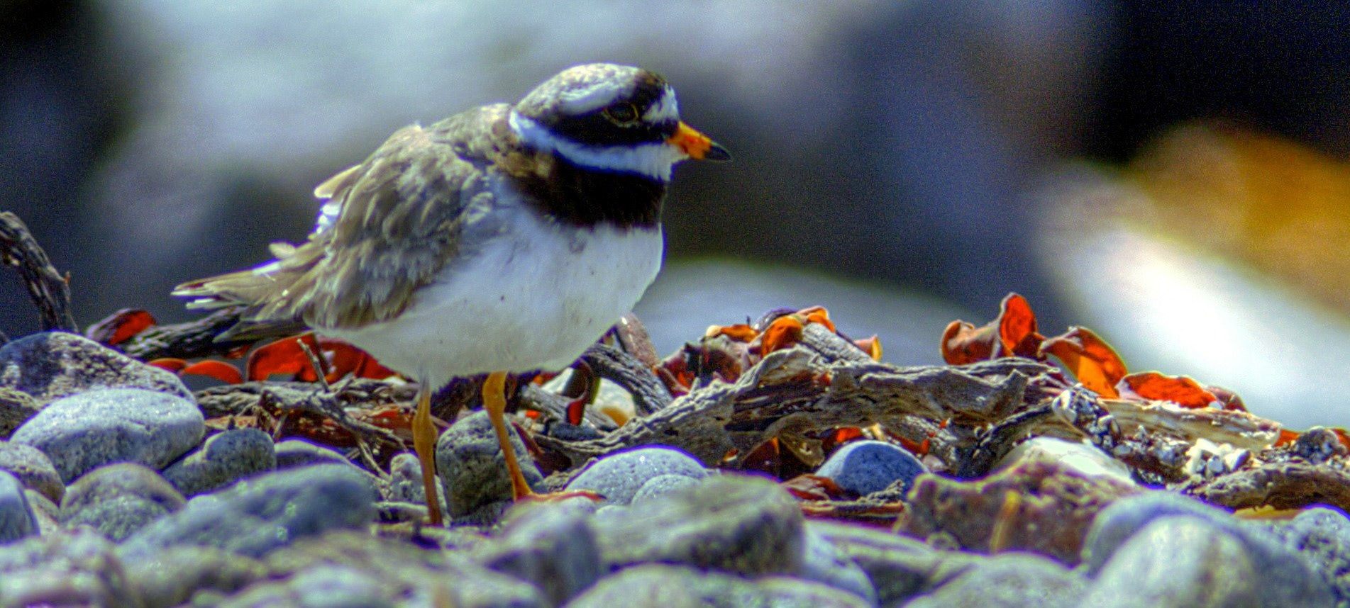 North UistPlease see my other Photographs at: http://www.jamespdeans.co.uk/