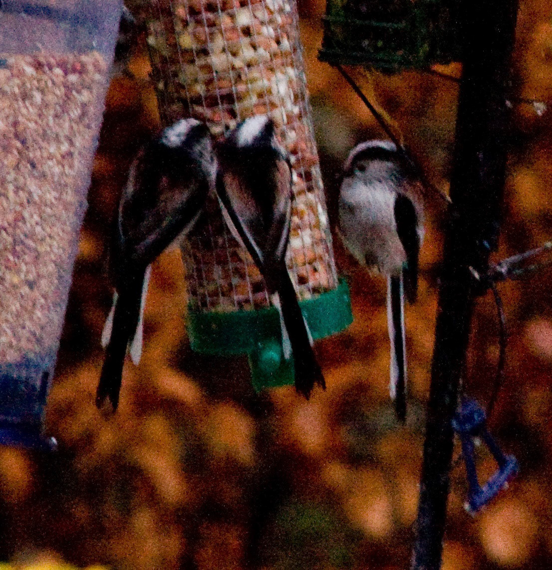 Livingston Please see my other Photographs at: www.jamespdeans.co.uk